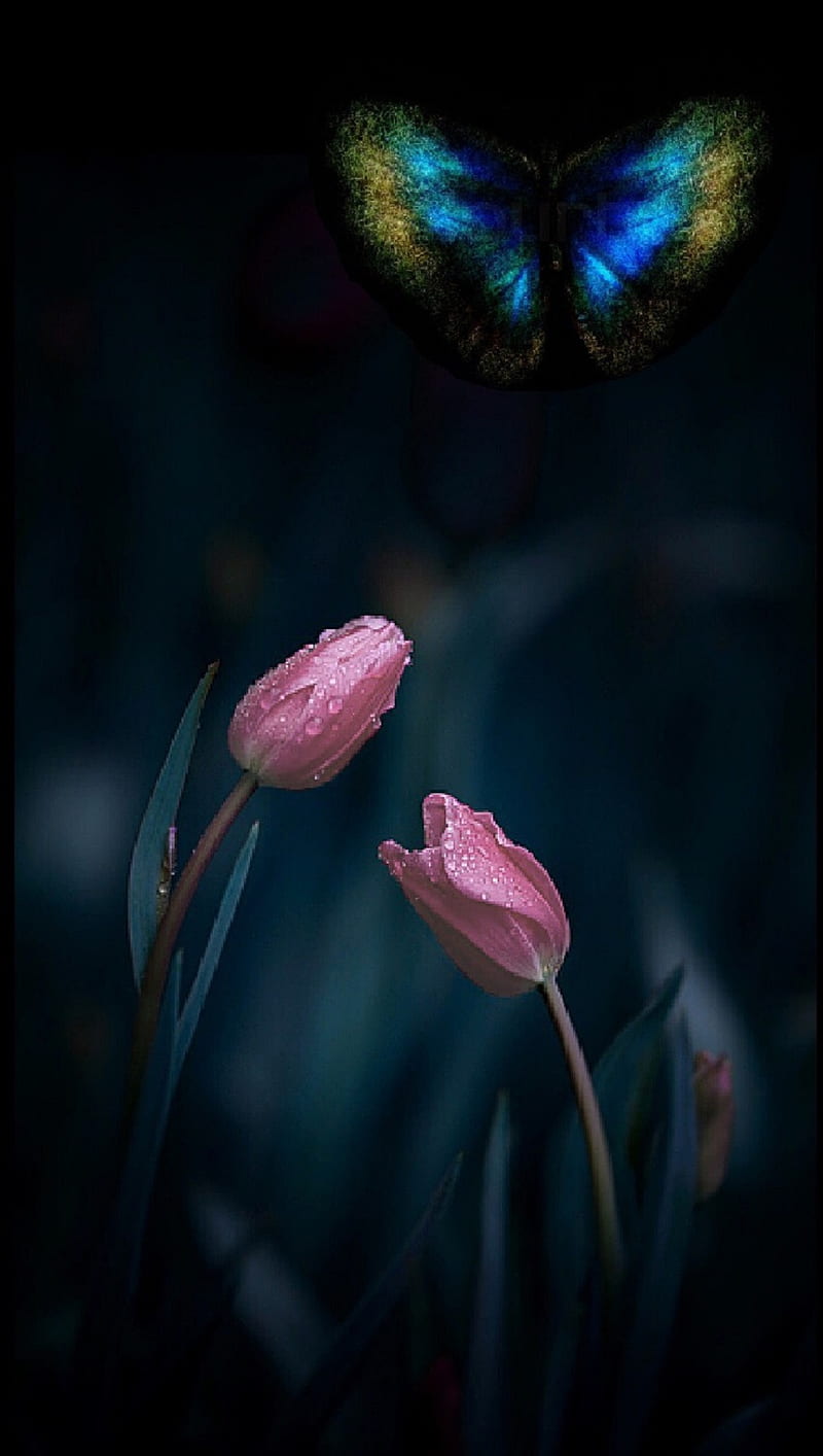 800x1414 Neon Butterfly, flowers, nature, HD phone wallpaper