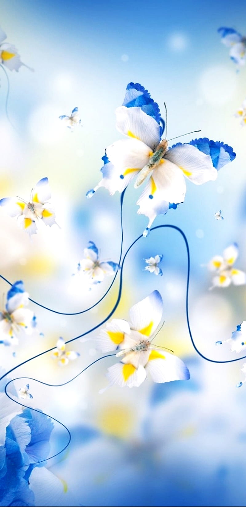 800x1644 Orchardflies, blue, butterflies, butterfly, flower, flowers, nature, orchard, HD phone wallpaper