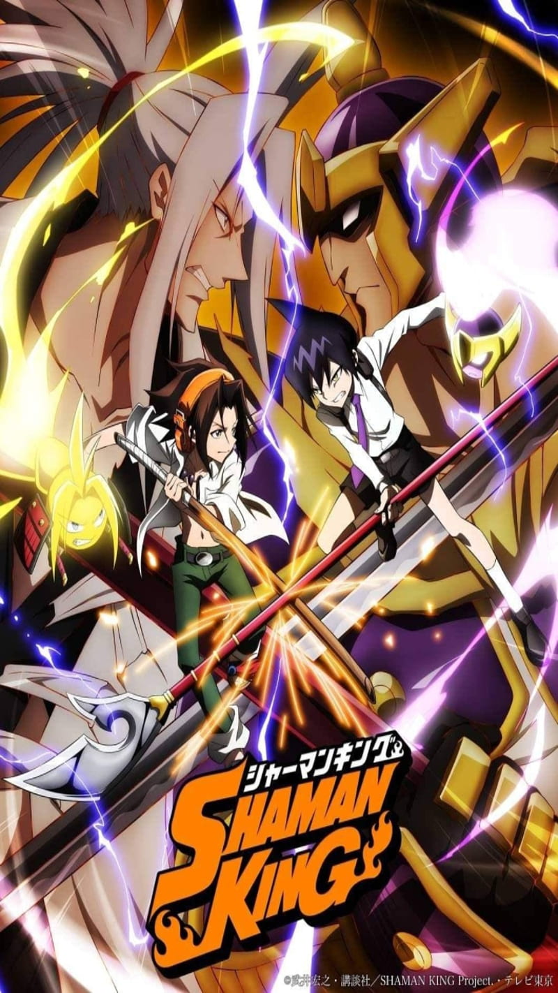 800x1422 HD anna shaman king wallpaper
