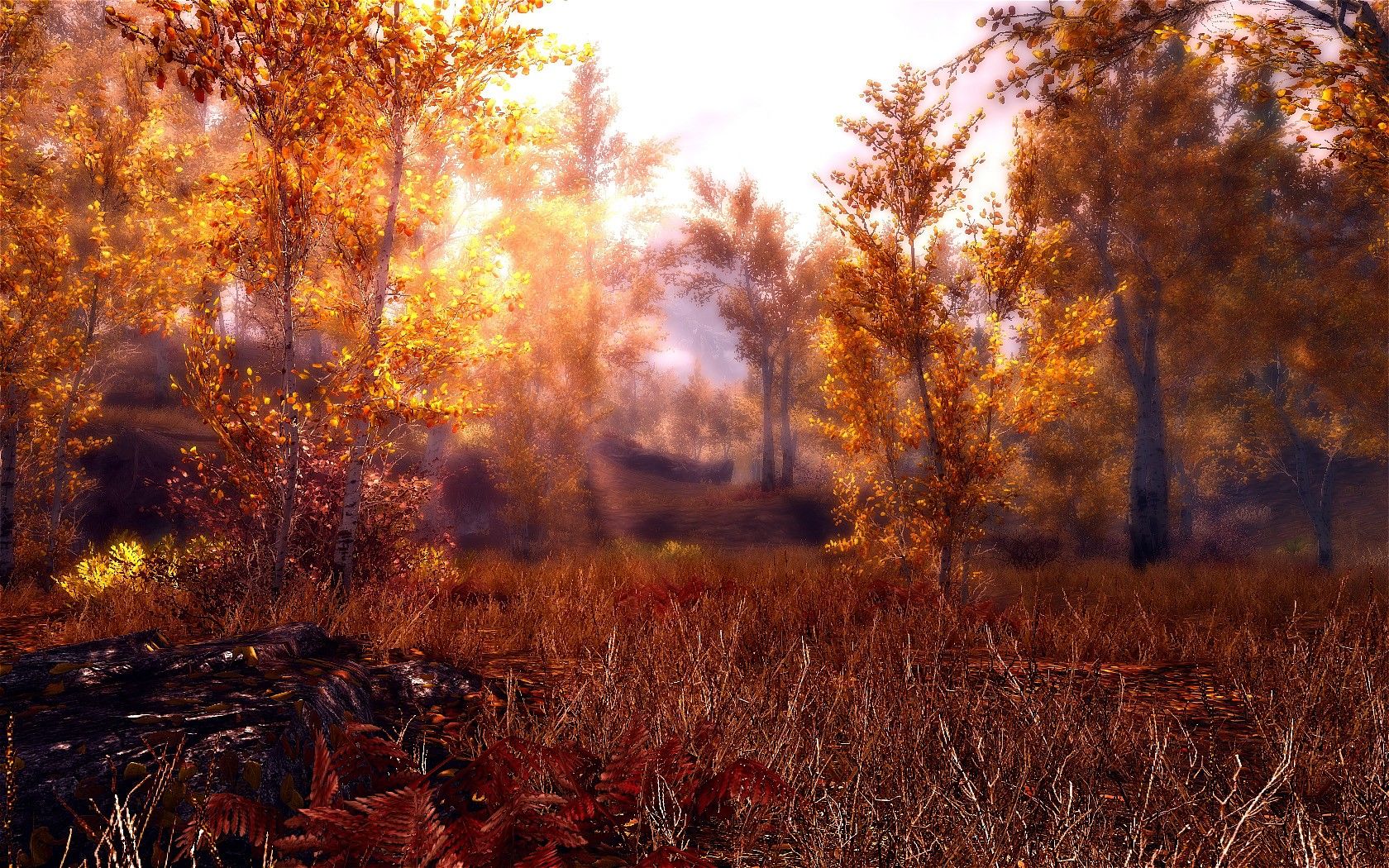 1680x1050 Stunning HD Wallpaper of Skyrim's Autumn Landscape