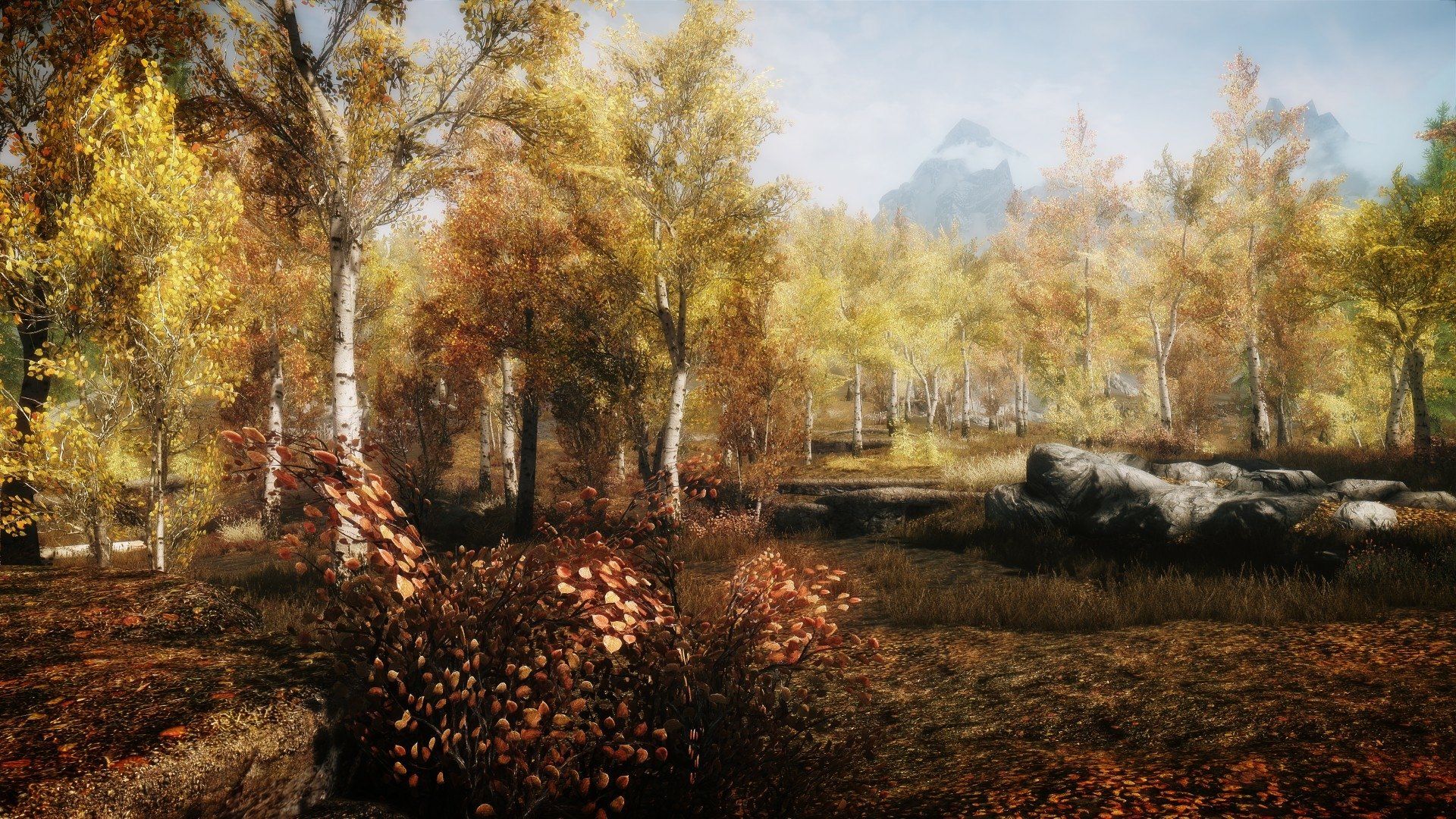 1920x1080 Skyrim HD: Breathtaking Autumn Landscape Wallpaper from The Elder Scrolls V