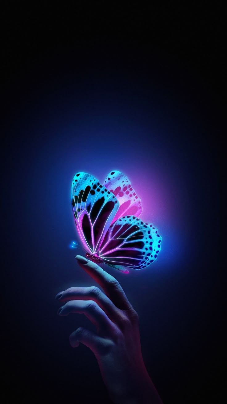 736x1308 Butterfly with neon glow. Neon butterflies on dark background, Glowing butterfly wallpaper iphone, Butterfly wallpaper