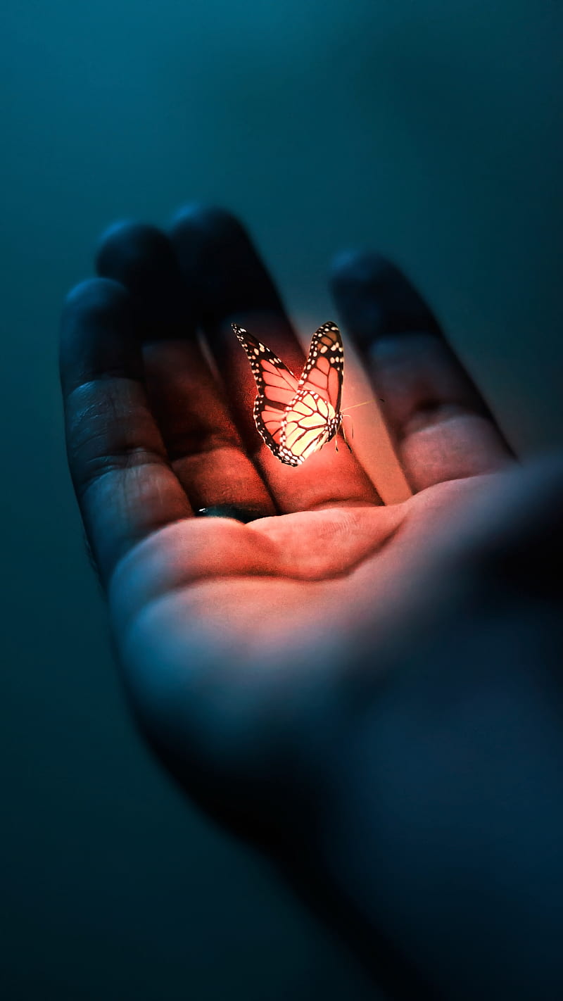 800x1422 Glowing Butterfly, blue, butterfly, fly, glow, glowing, insects, love, nature, HD phone wallpaper