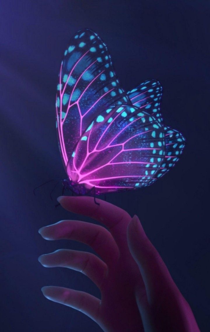 720x1137 Neón butterfly