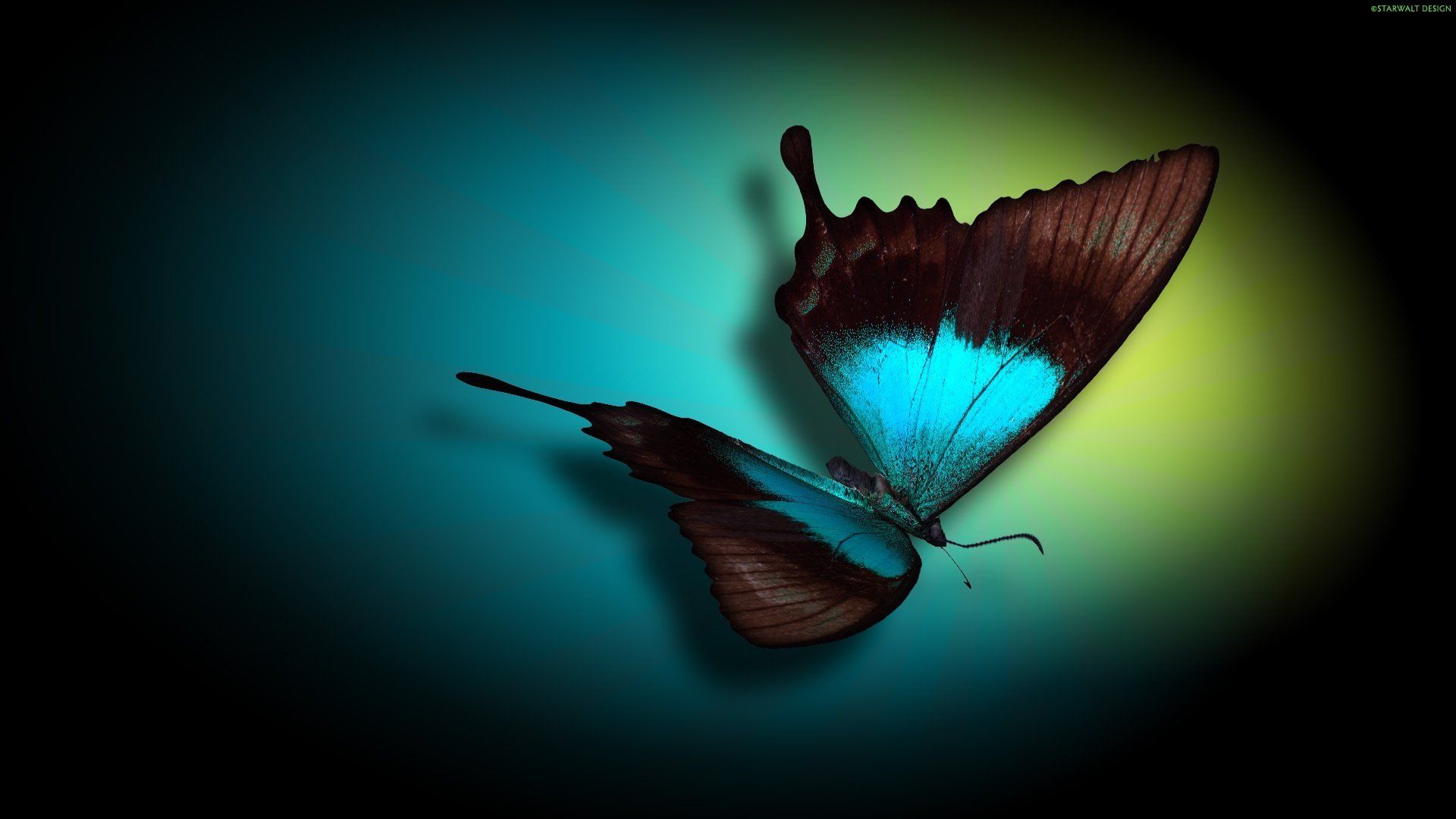 1920x1080 Radiant Butterfly Glow