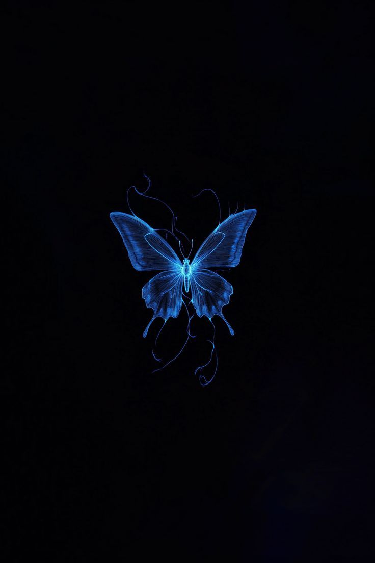 736x1104 Beautiful Blue Butterfly Wallpaper for Your iPhone & iPad
