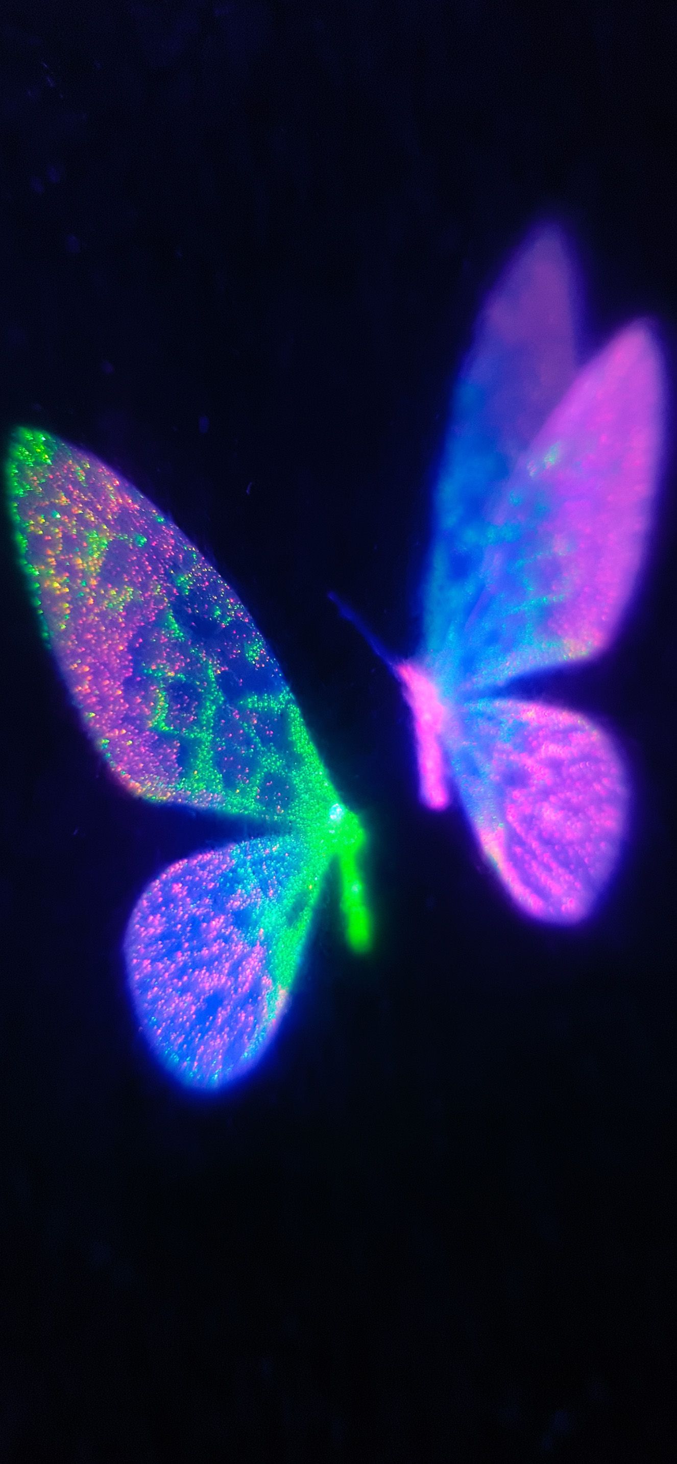 1326x2868 Tiny Neon Butterfly Wings Glow Black Wallpaper