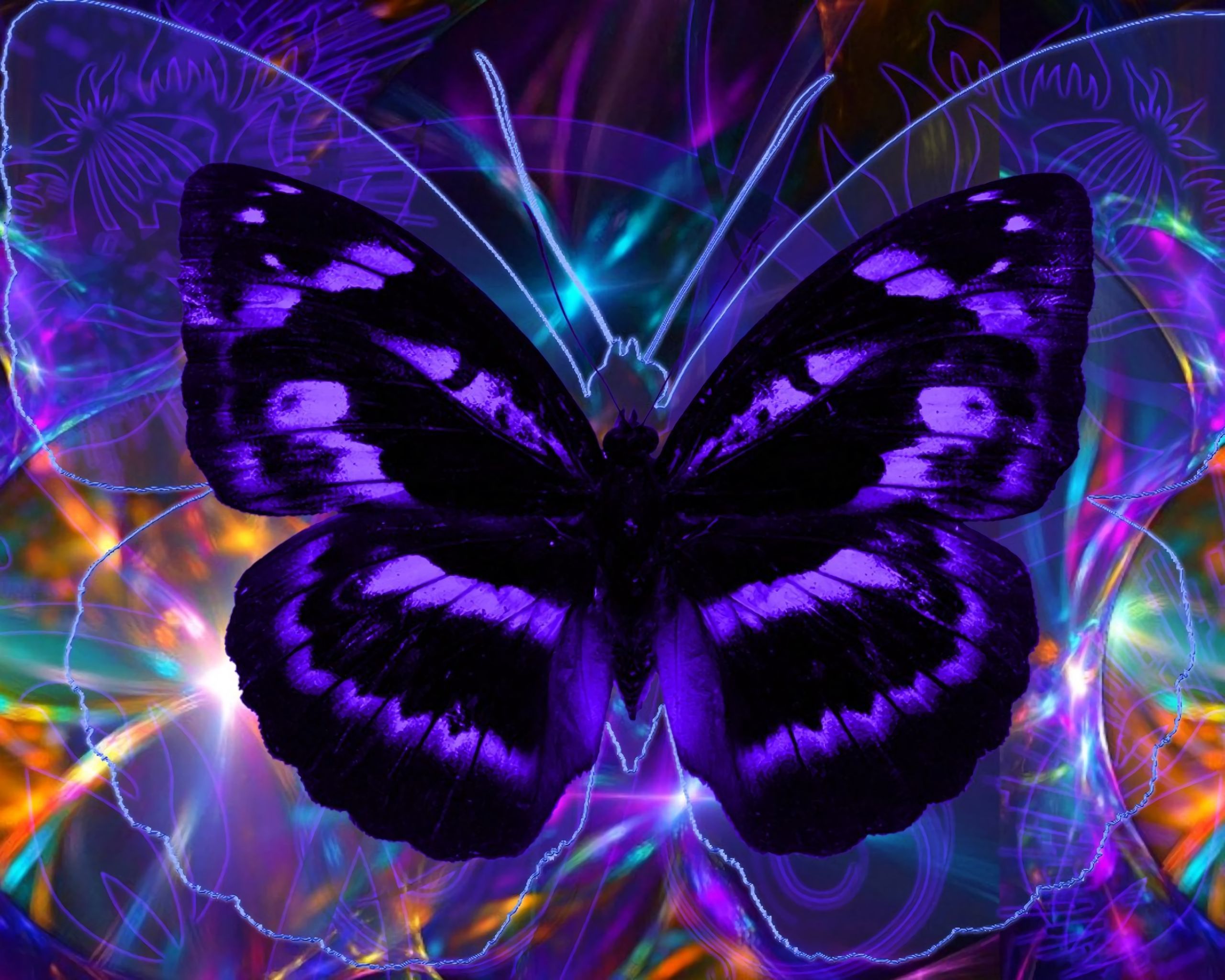 2560x2048 Desktop wallpaper: Artistic, Butterfly, Colorful, Colors, Purple 4K free download for PC. 756880