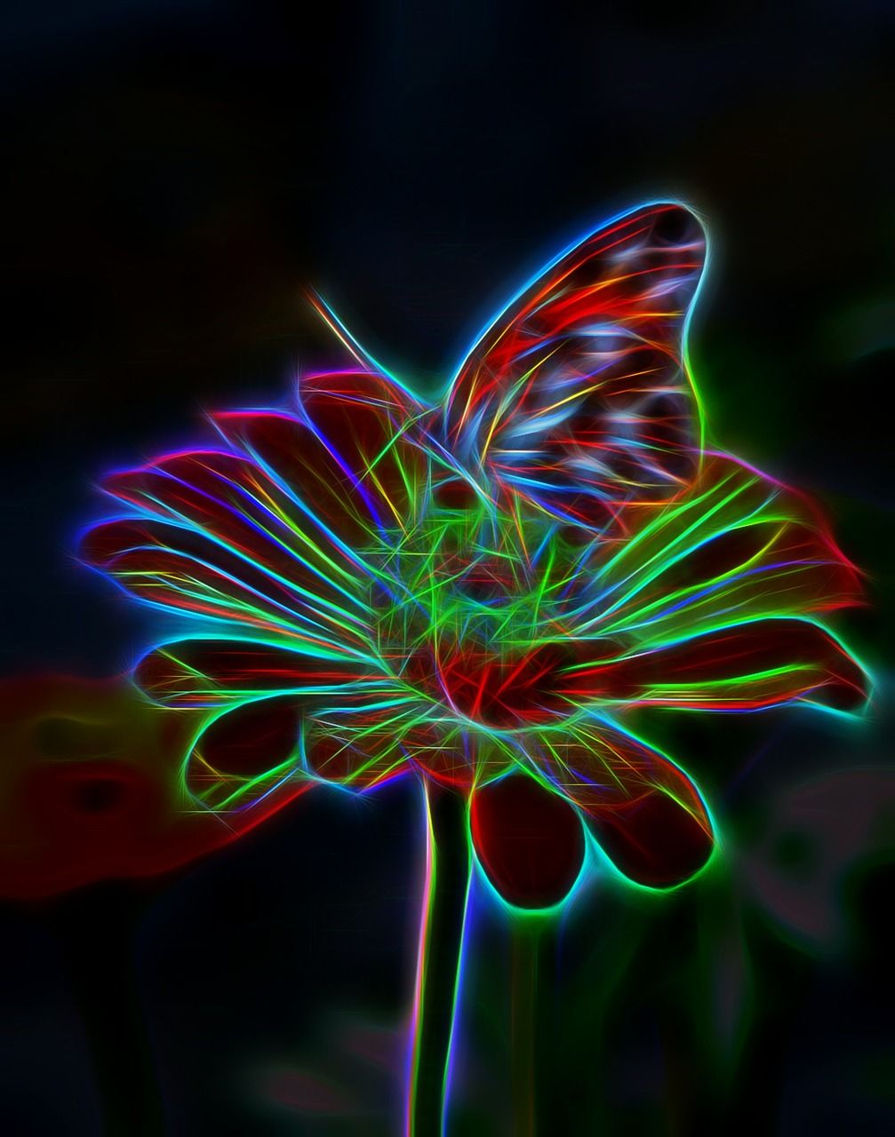 1007x1280 Download free photo of Flower, butterfly, light, effect, bright