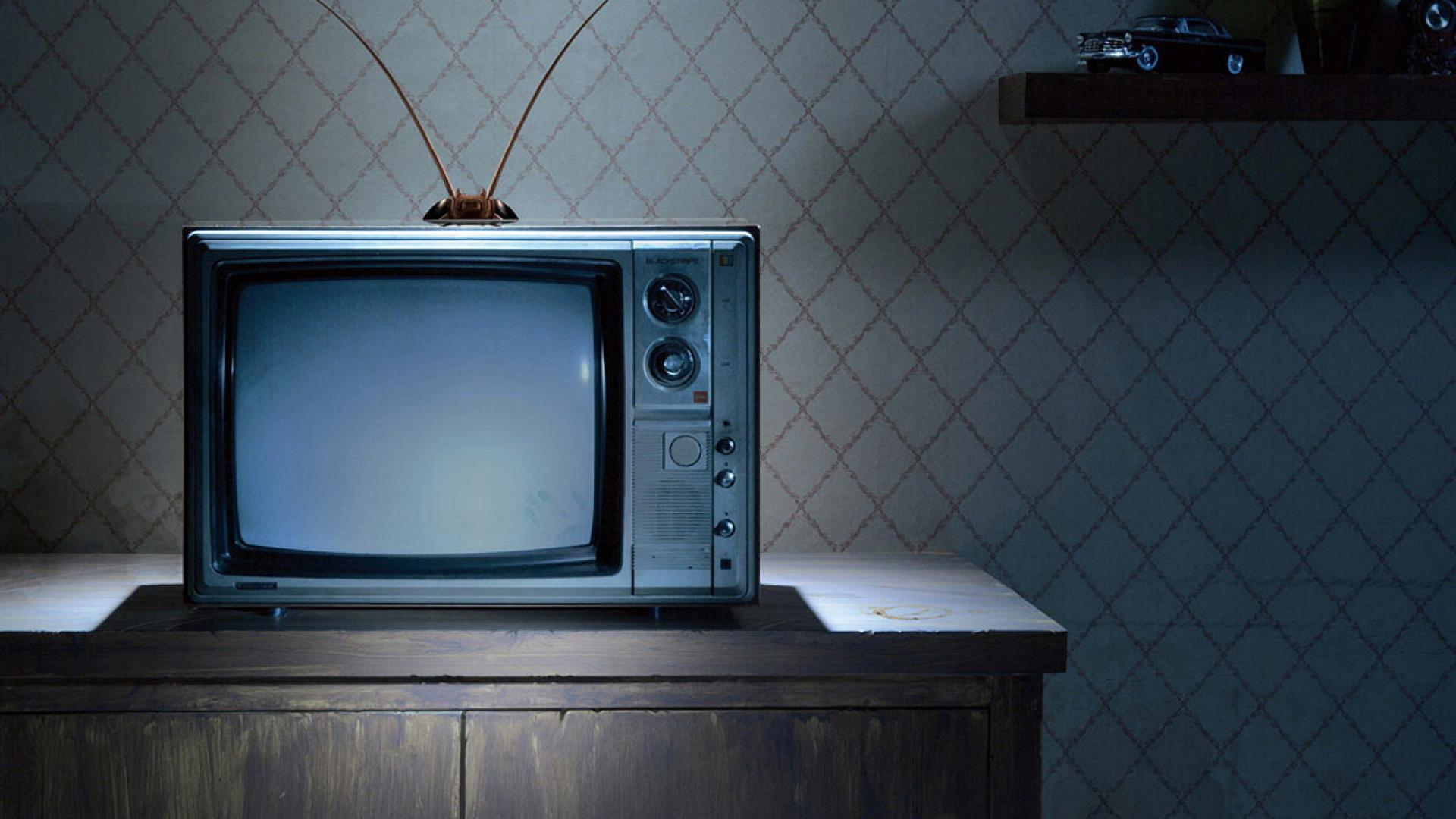 1920x1080 Watching TV Wallpaper