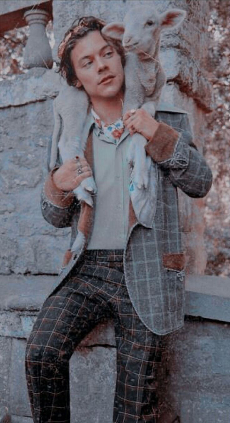 736x1354 Best Harry Styles Wallpaper [ HQ ]