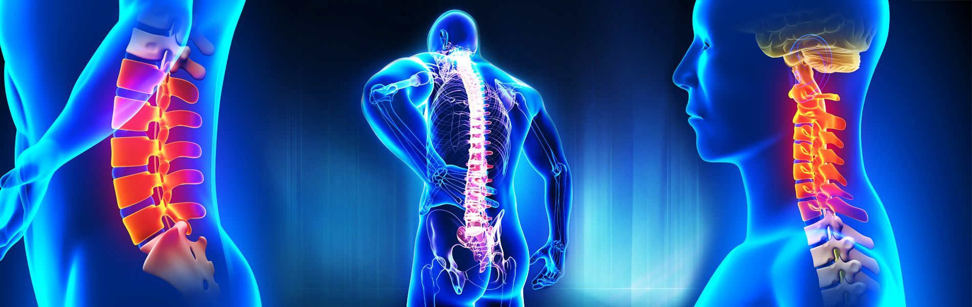 1900x600 Orthopedic Wallpaper