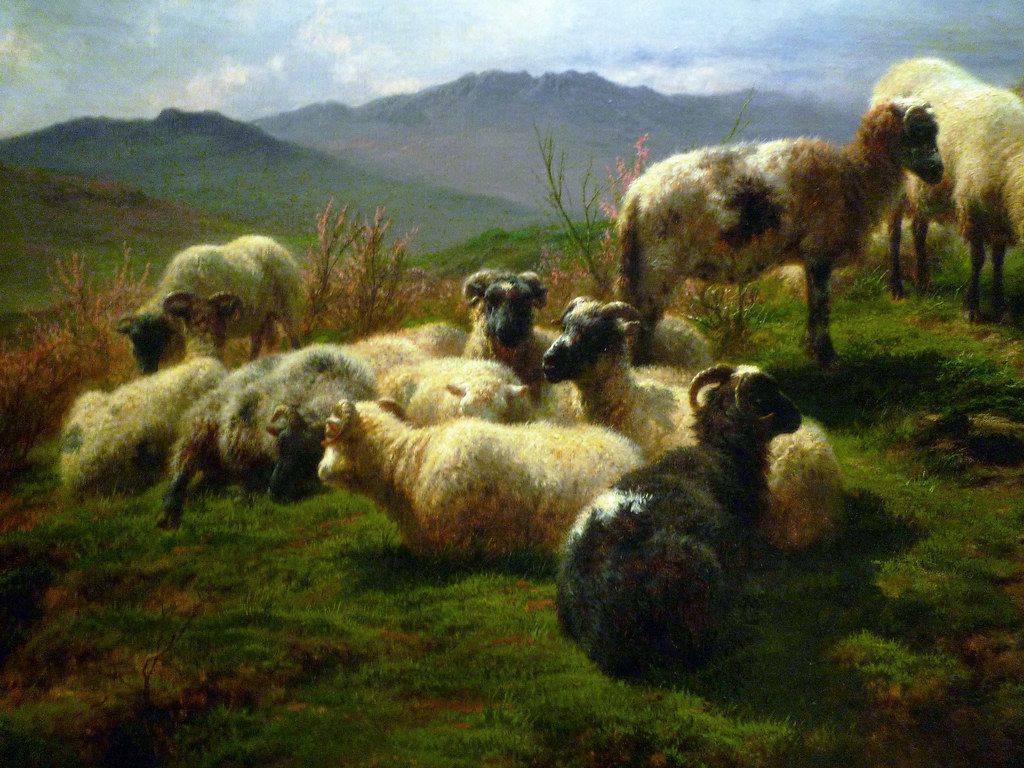 1024x768 Rosa Bonheur, Sheep in the Highlands, detail with flock