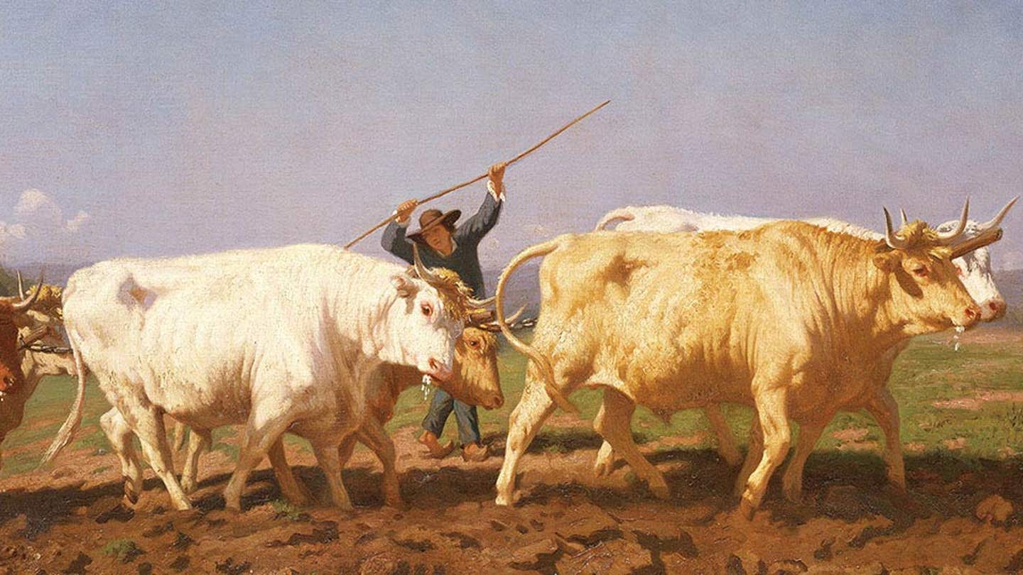 1440x810 Rosa Bonheur Prints & Wall Art