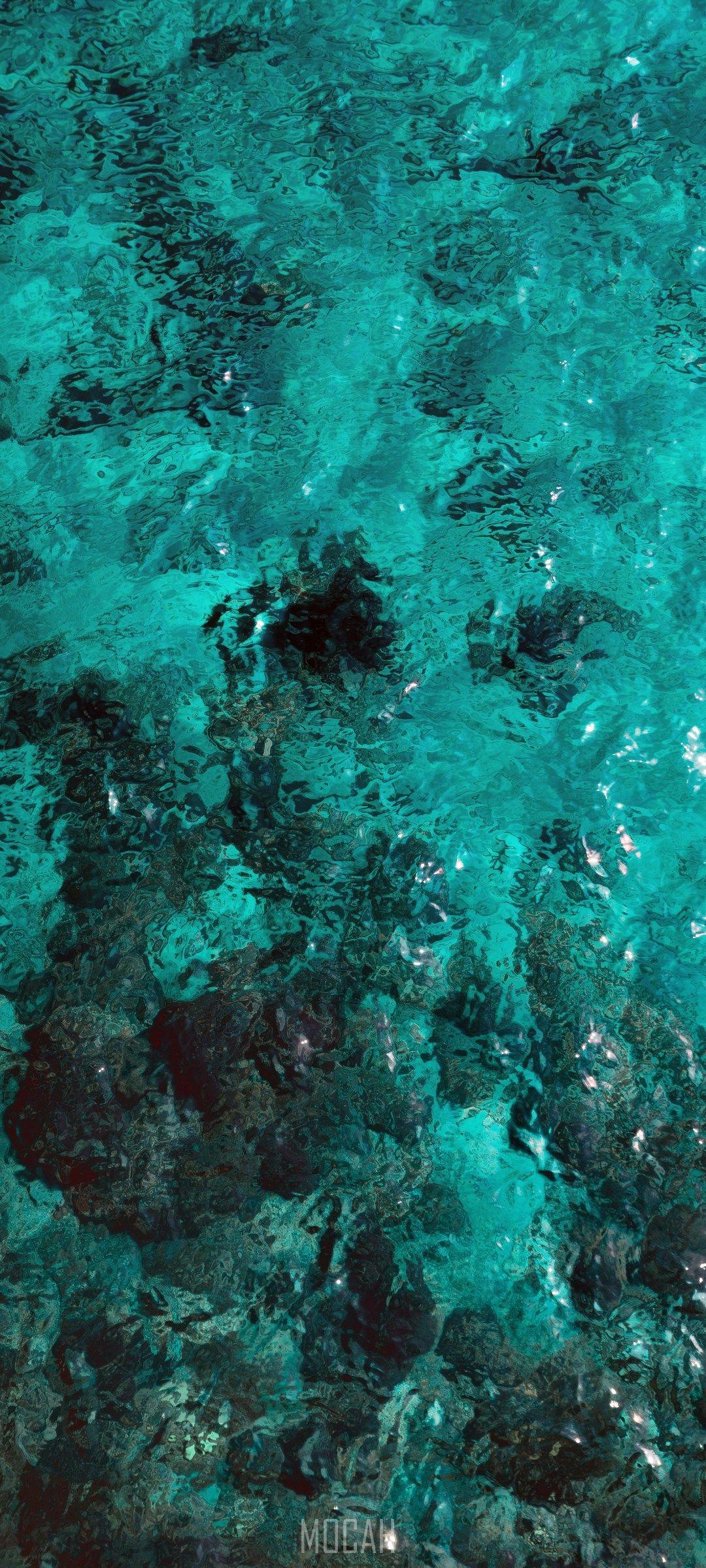 1080x2400 Turquoise, Green, Teal, Aqua, Blue, vivo V20 wallpaper 1080p, 1080x2400