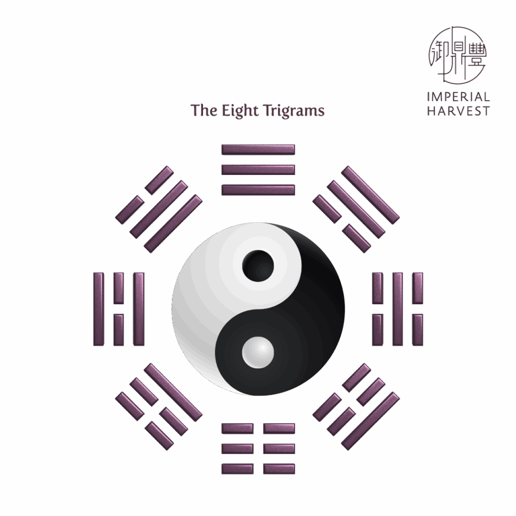1024x1024 Yin Yang Trigrams The Eight Trigrams In Caodaism Free SVG
