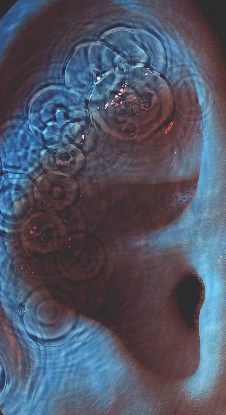 736x1351 Pink Floyd (1971)