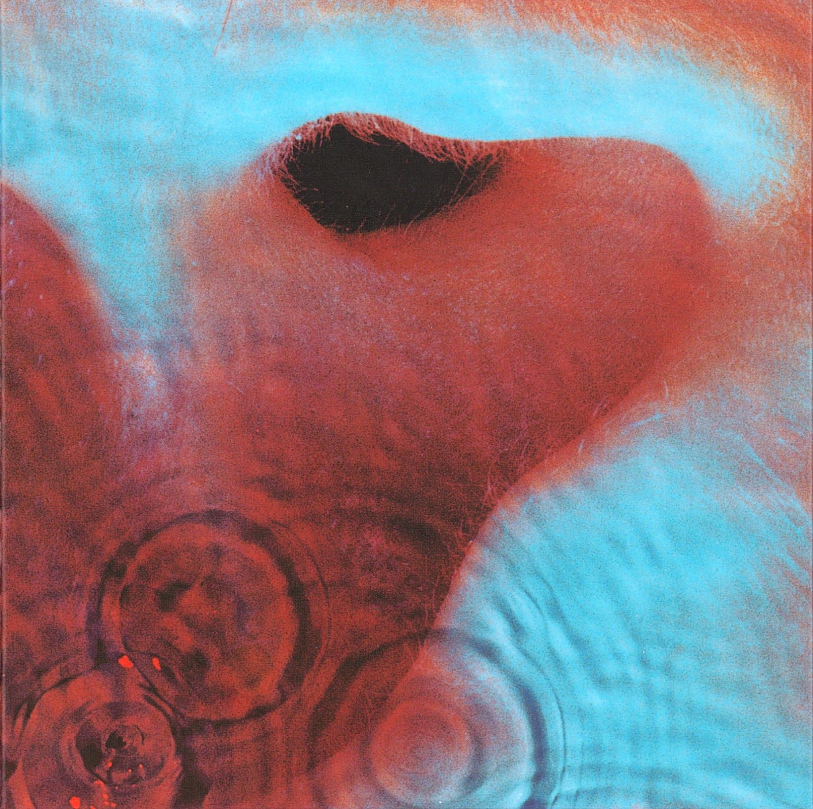 1600x1593 A Pillow Of Winds (Meddle) by Pink Floyd : Song Review