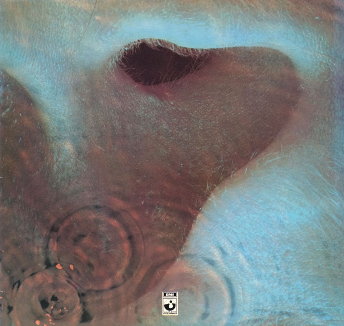 1200x1140 PINK FLOYD Meddle Germany Gatefold Album Cover Gallery & 12 LP Vinyl Discography Information #vinylrecords