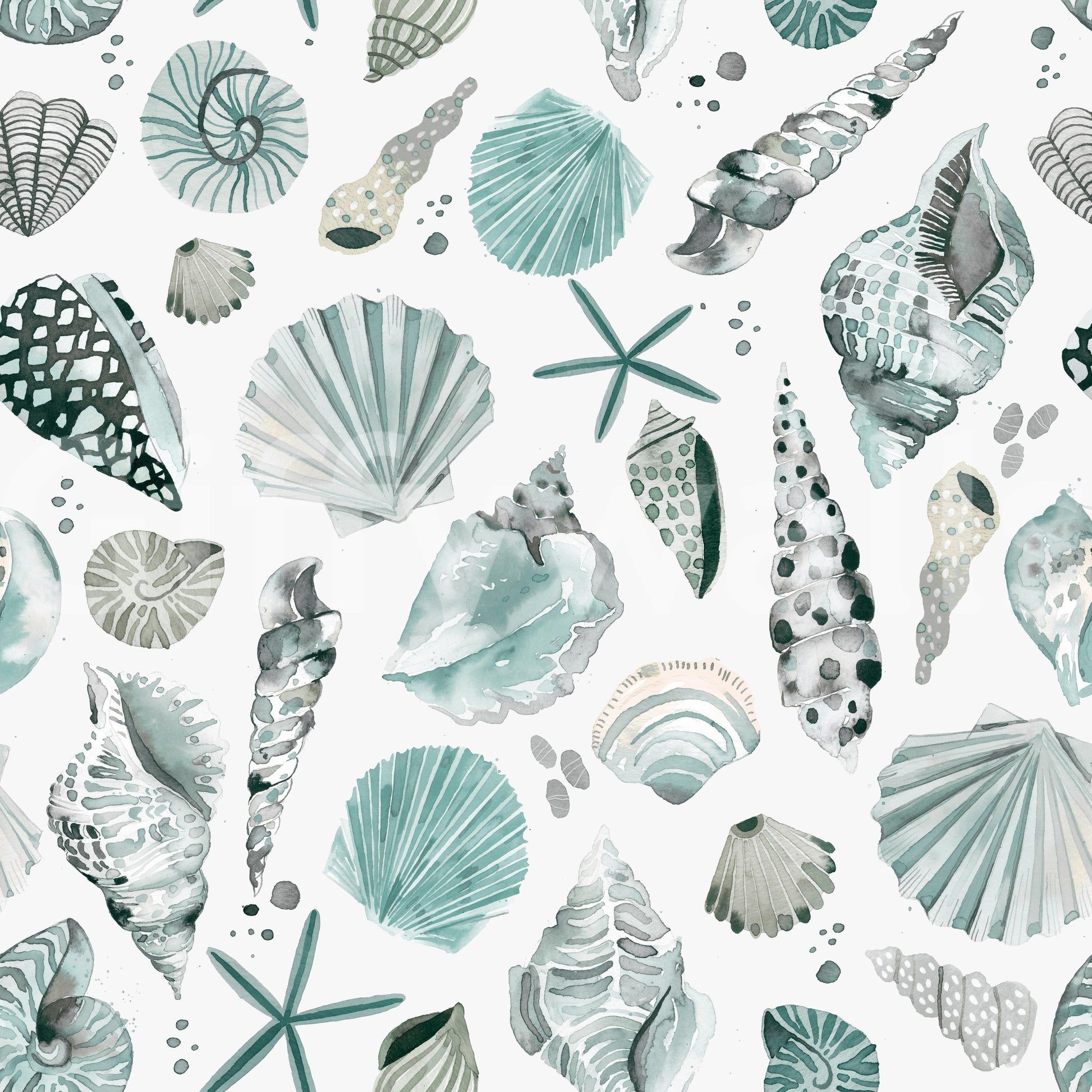 1946x1946 Sea Shells Coastal Summer Blue Wallpaper