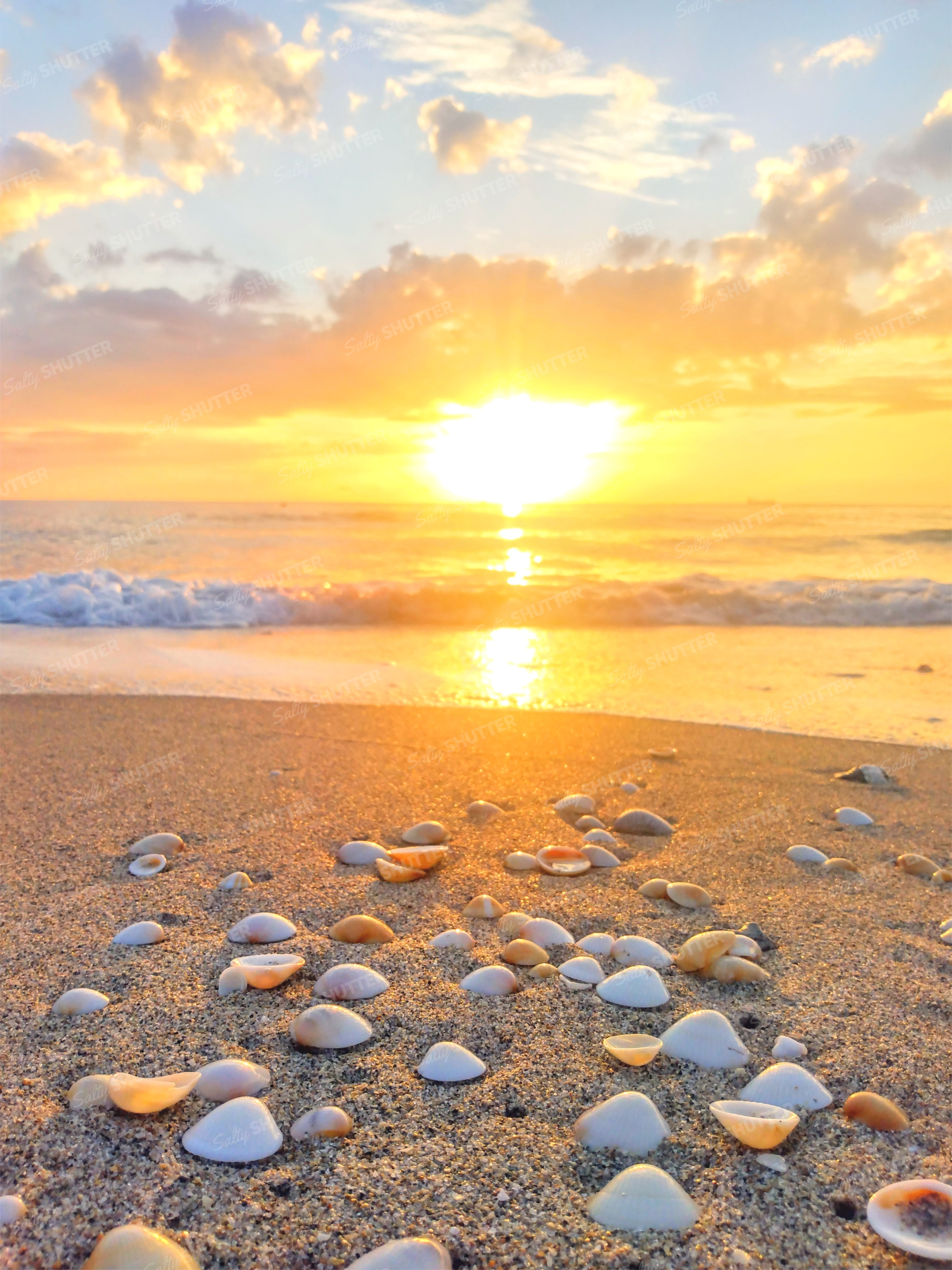 1875x2500 Download Beach Sunrise Photo: Surf and Seashells! Salty Shutter Beach Photography