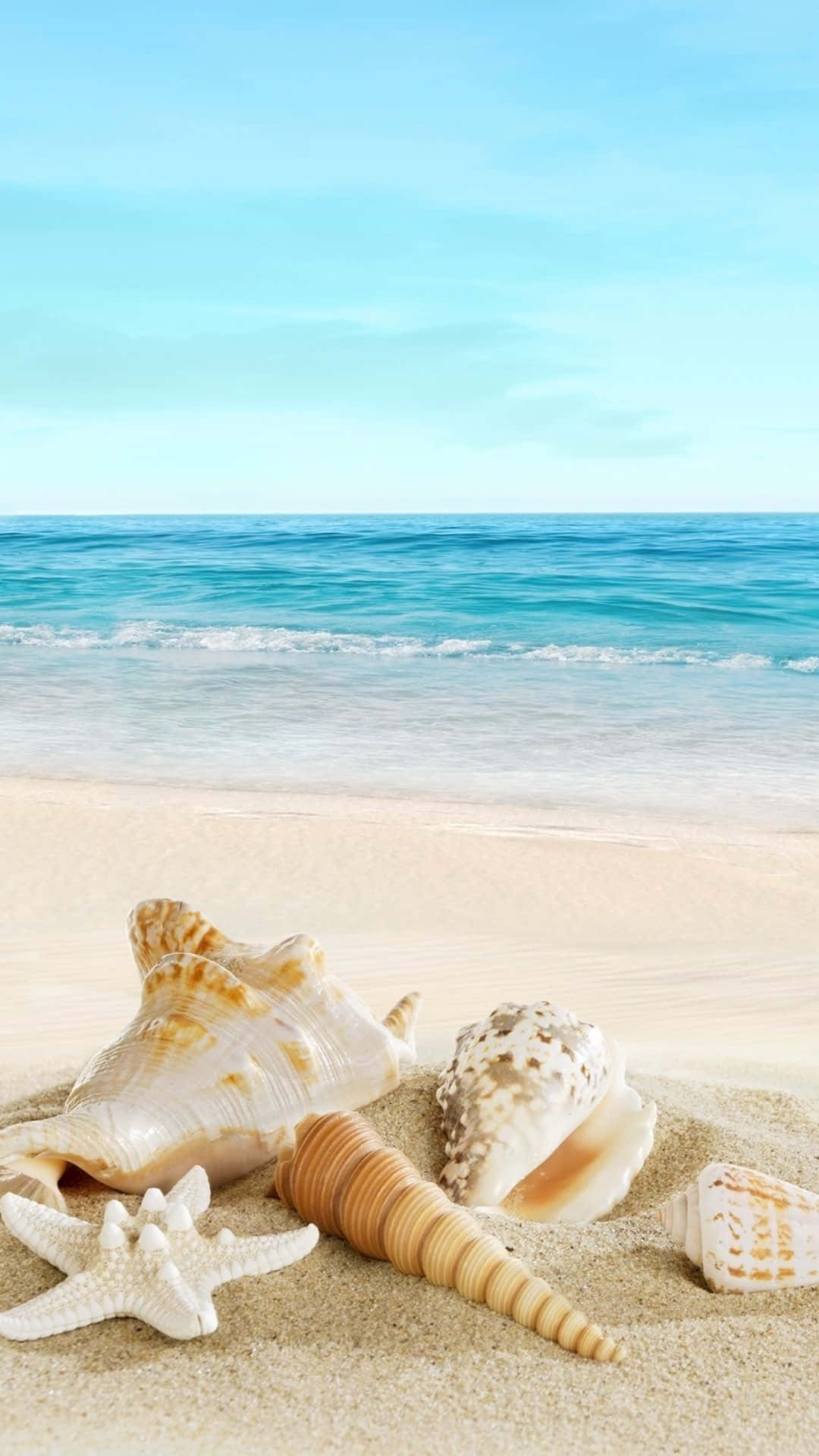 1080x1920 Download Cool Summer With Aesthetic Seashells Wallpaper