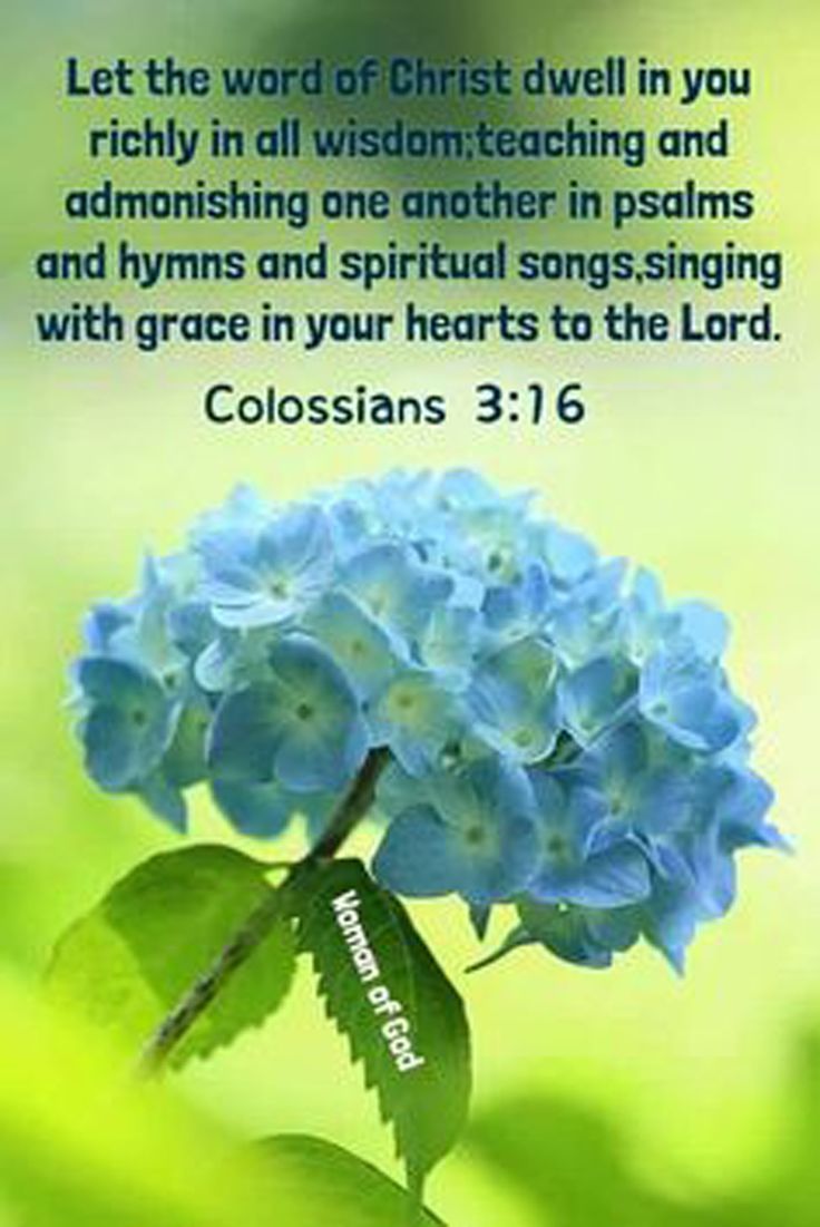 736x1101 Colossians 3:16