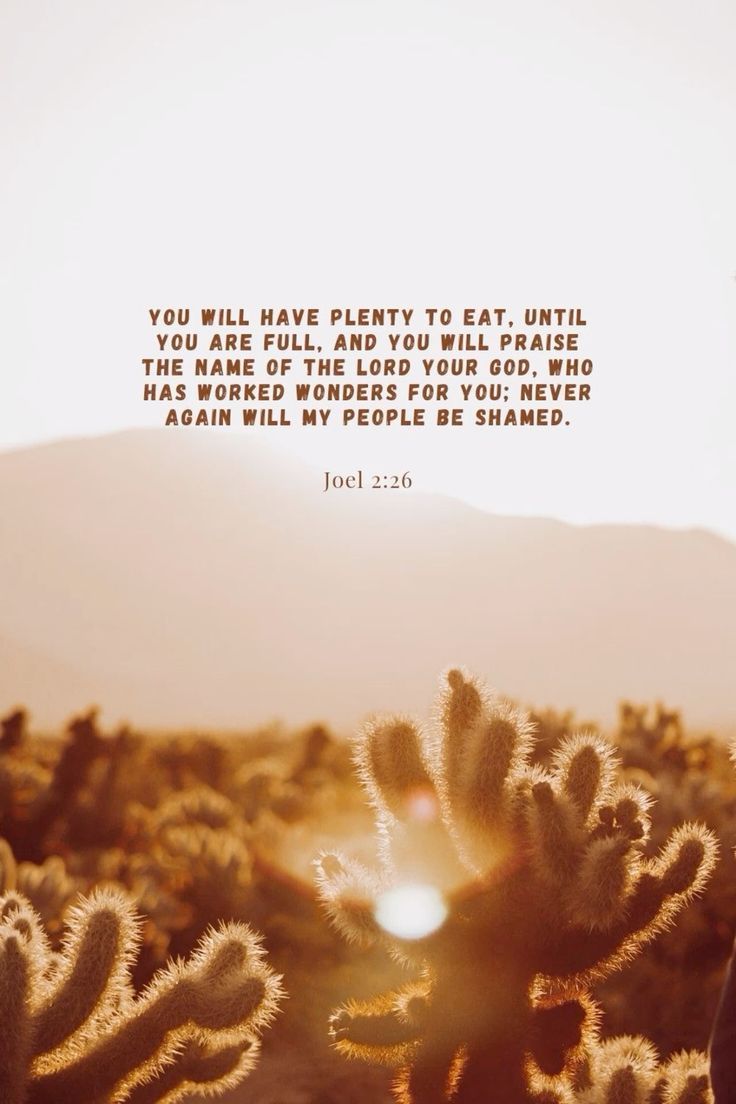 736x1104 Joel 2:26