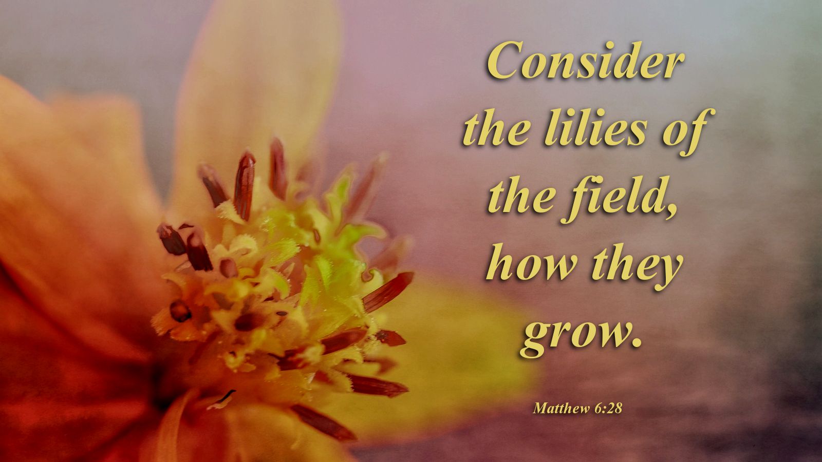 1600x900 In the Beginning. Beginning each day in the Word and prayer