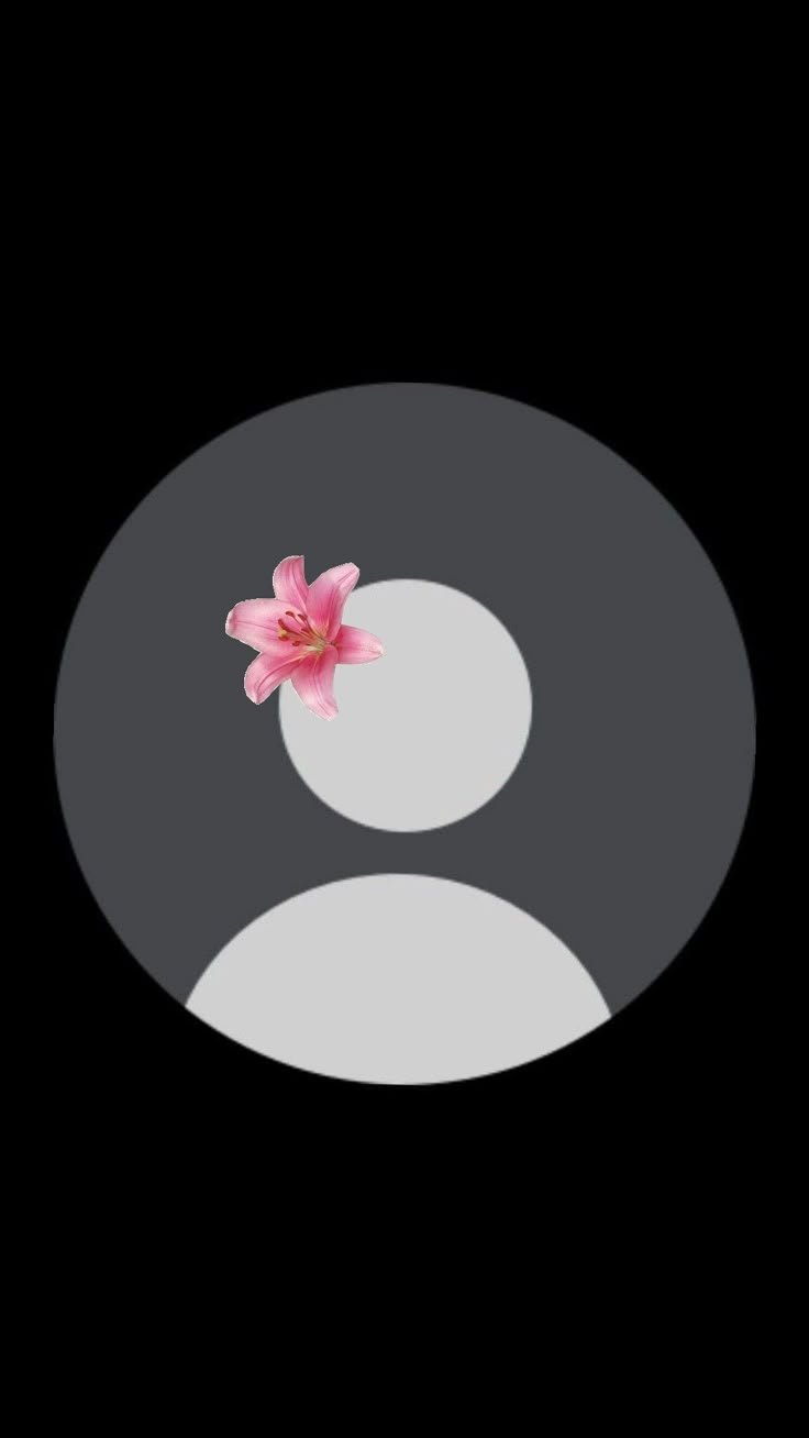 736x1308 Shuffles. Pro file photo, Blank pfp icon instagram, Phone wallpaper