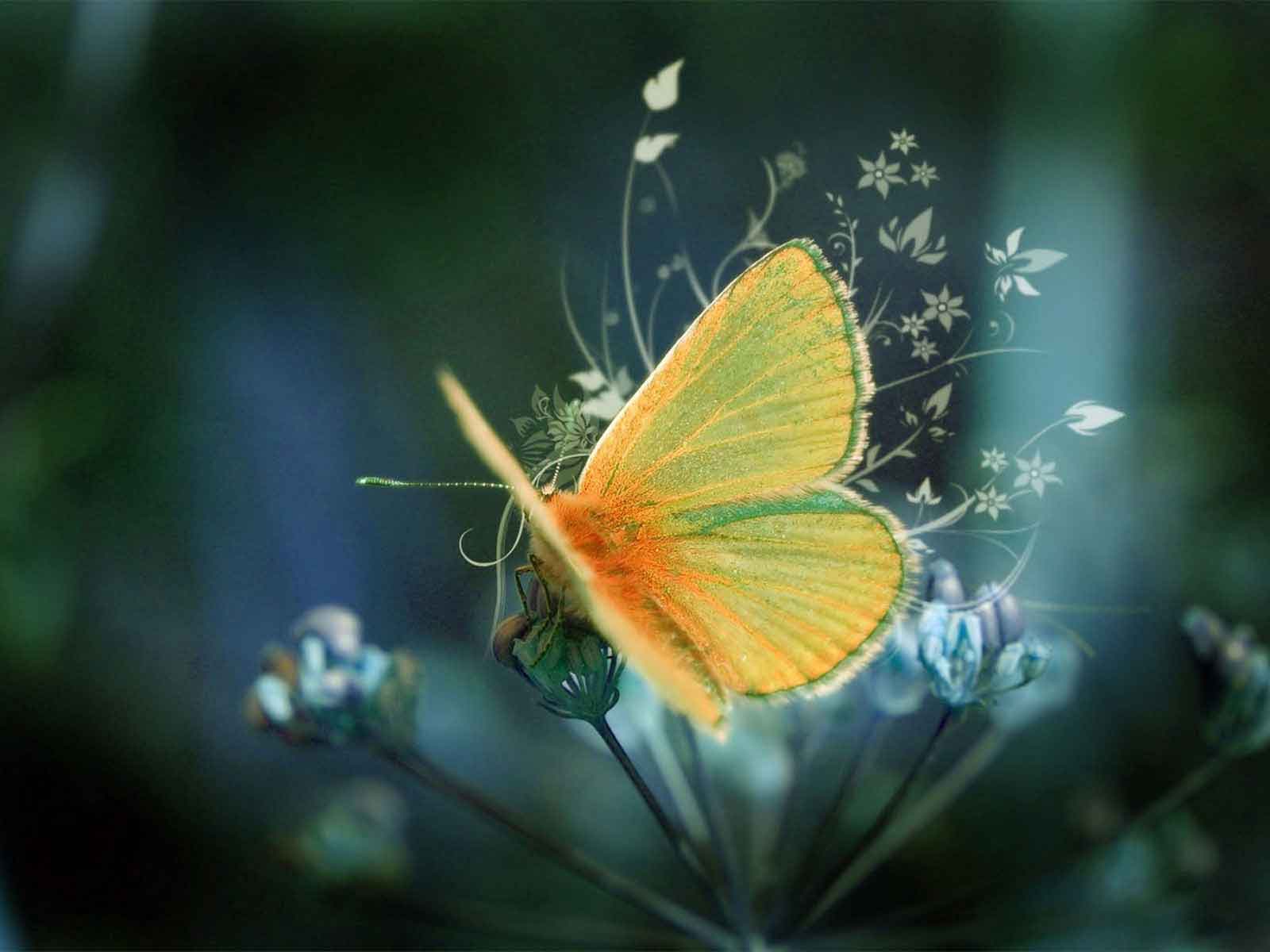 1600x1200 Best Computer Background Picture HD Wallpaper