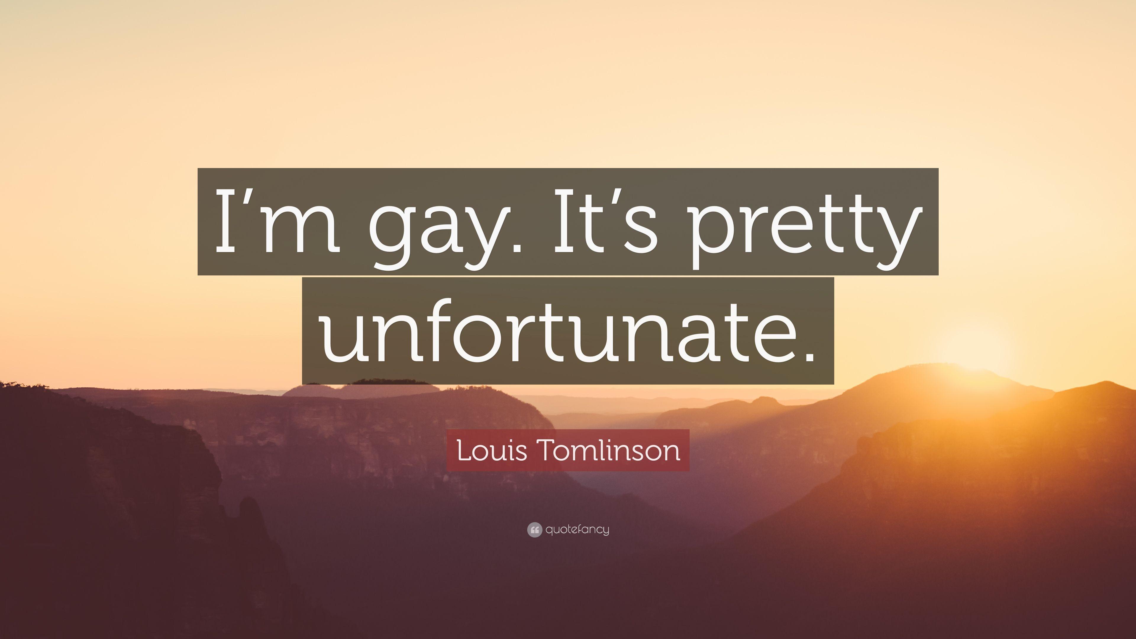 3840x2160 I'm Gay Wallpaper