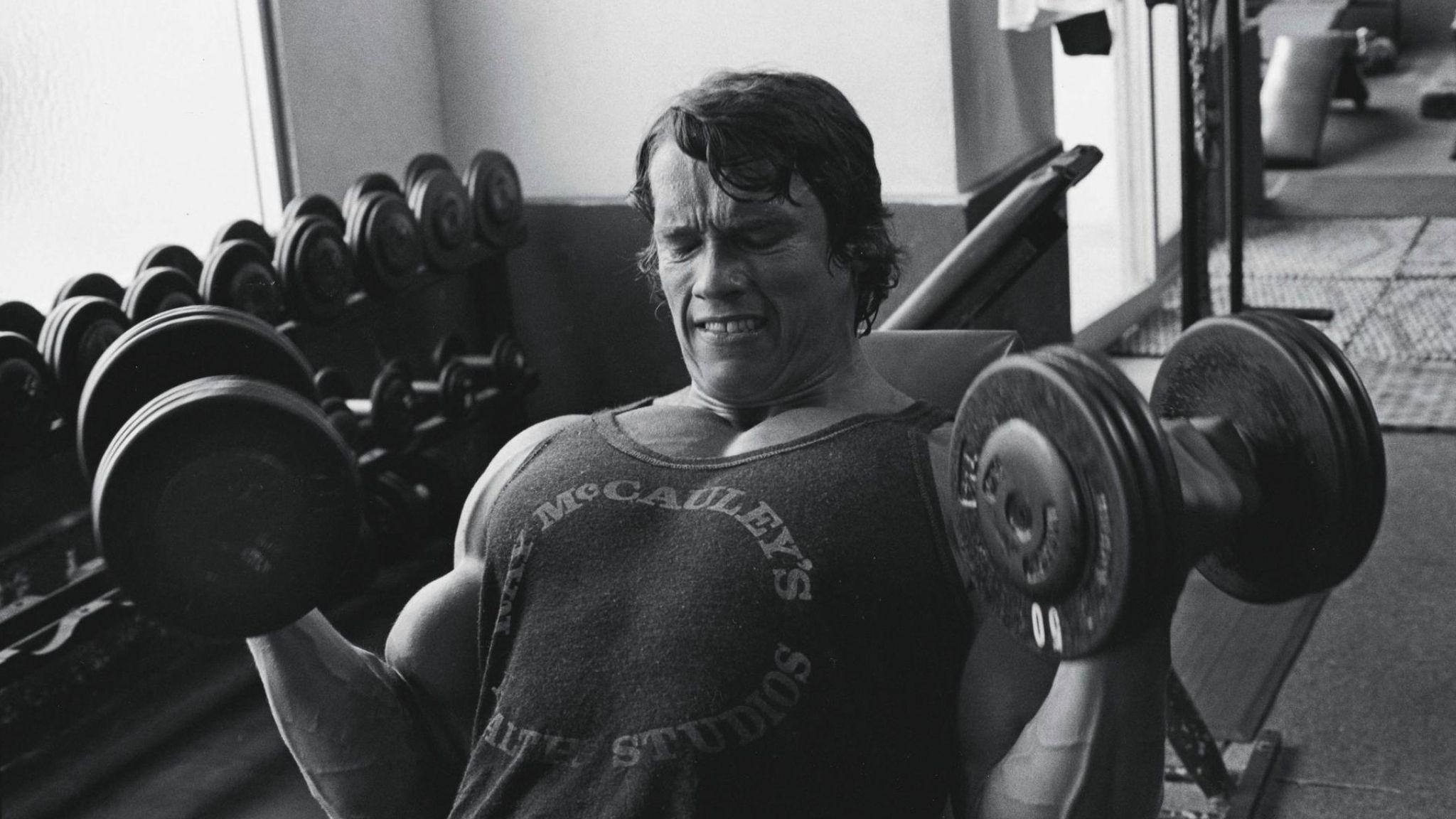 2048x1152 Arnold Schwarzenegger In Gym Photo 2048x1152 Resolution Wallpaper, HD Celebrities 4K Wallpaper, Image, Photo and Background