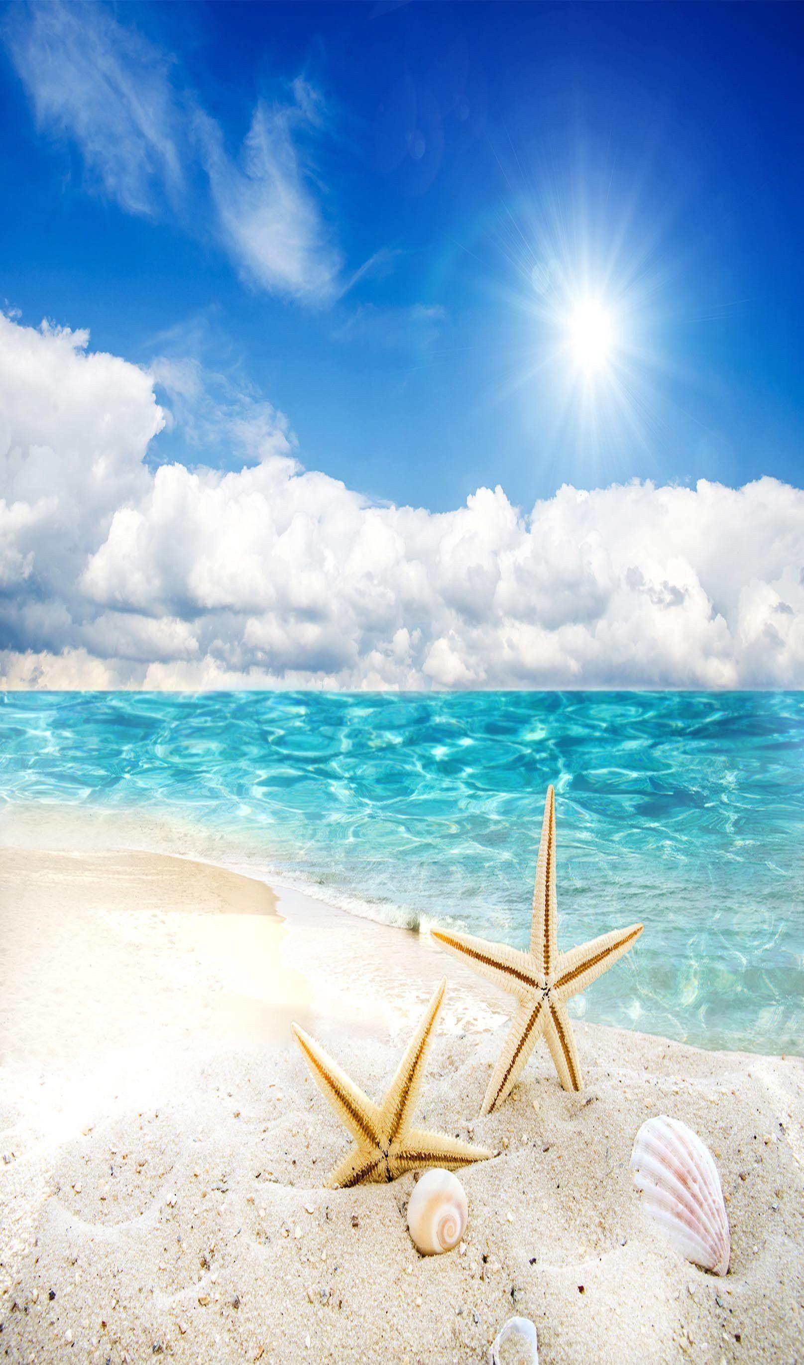 Portrait Beach Wallpapers Top Free Portrait Beach Backgrounds