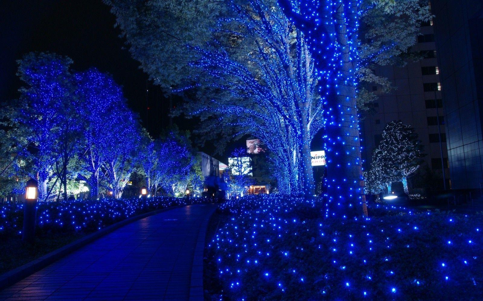 1600x1000 Miscellaneous: Christmas Blue Holidays Tokyo Night Evening Lights