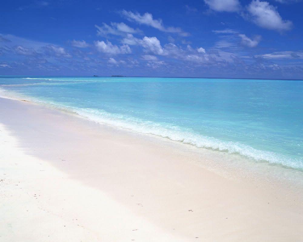 1000x799 Beach Themed Computer Wallpaper