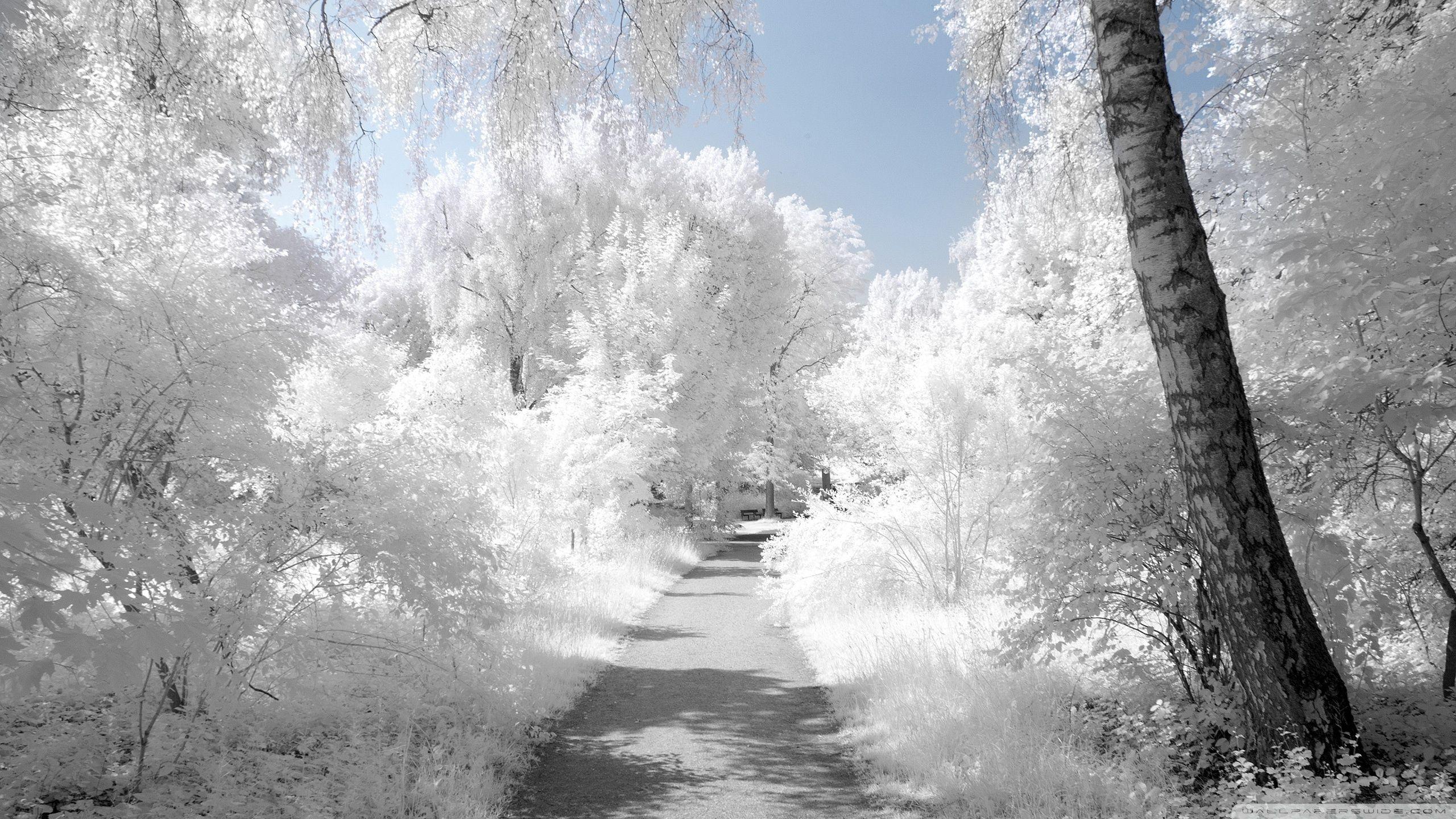 Infrared Landscape Wallpapers - Top Free Infrared Landscape Backgrounds