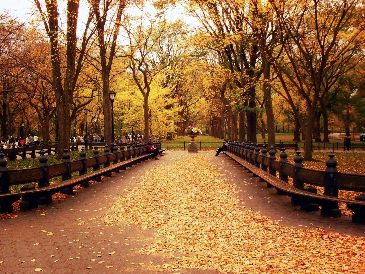 1280x960 Romantic Autumn in New York Wallpaper. Romantic Wallpaper, Cute Romantic Wallpaper and Romantic Valentine Wallpaper
