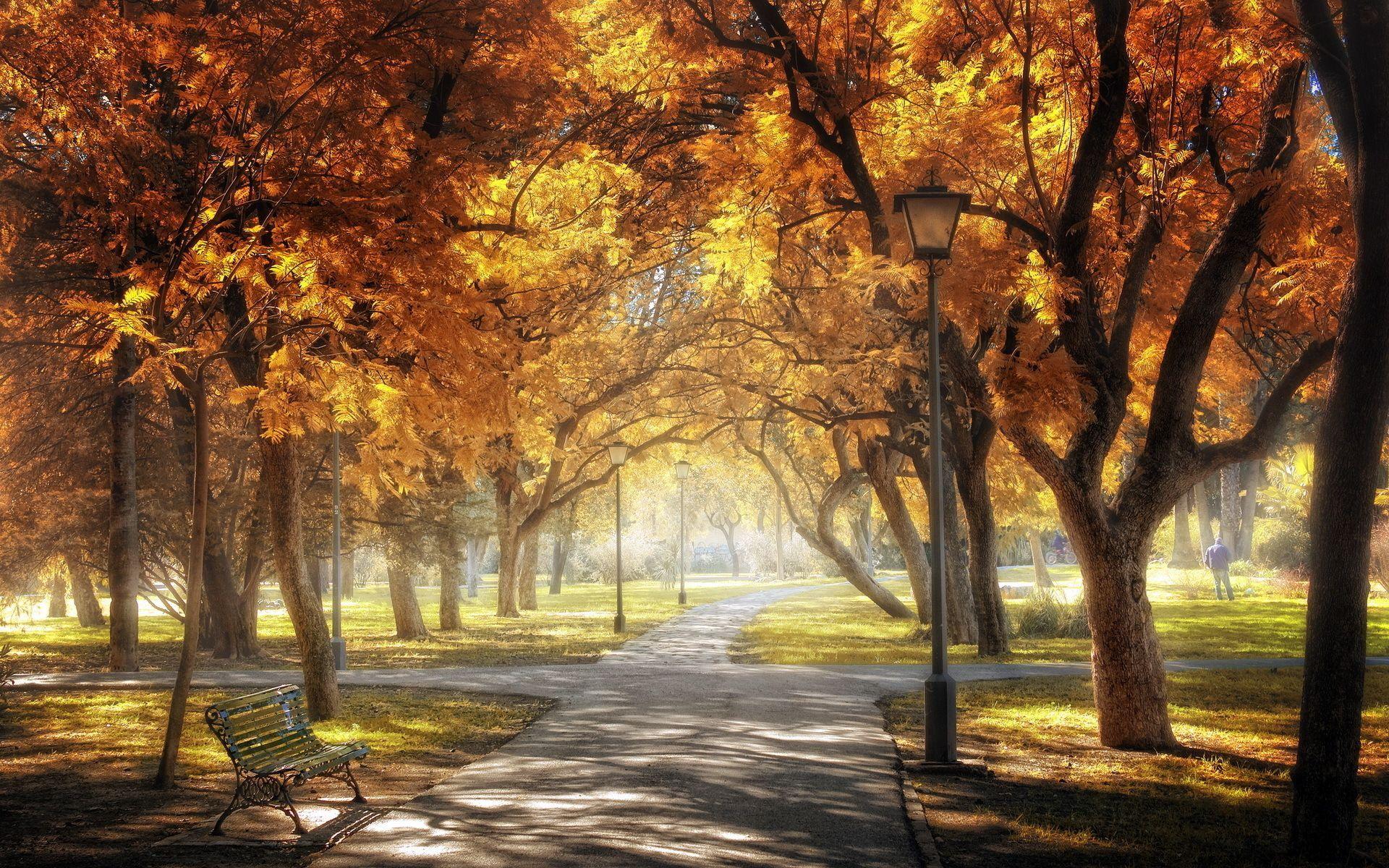 1920x1200 Sevilla Golden Central Park autumn wallpaperx1200. Central park manhattan, Autumn lake, Central park