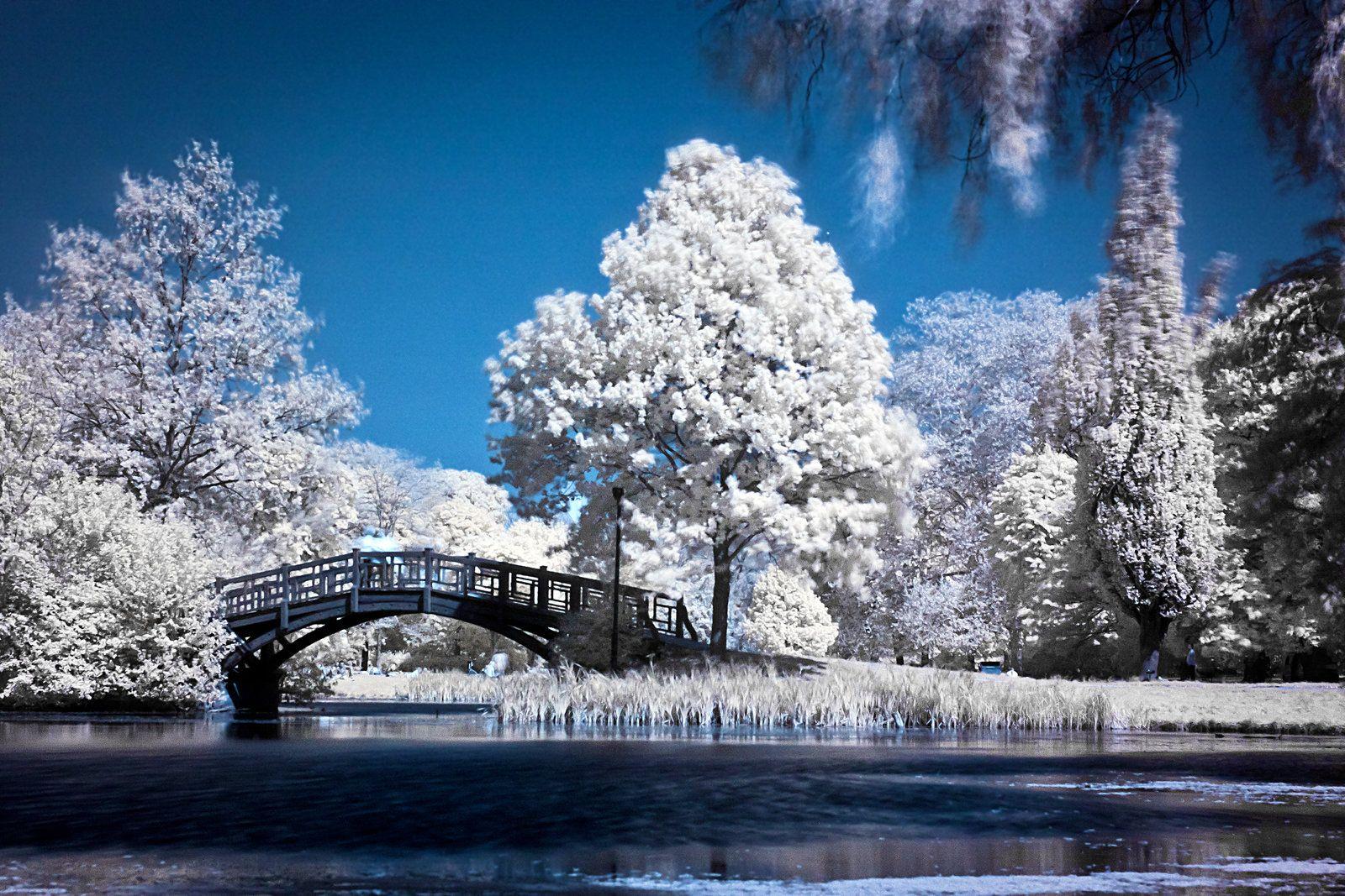 Infrared Landscape Wallpapers - Top Free Infrared Landscape Backgrounds