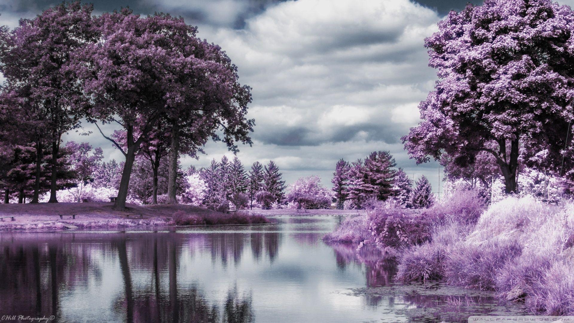 A Quiet Place Infrared graphy Ultra Aero Creative Space Orange Travel  Landscape HD wallpaper  Peakpx
