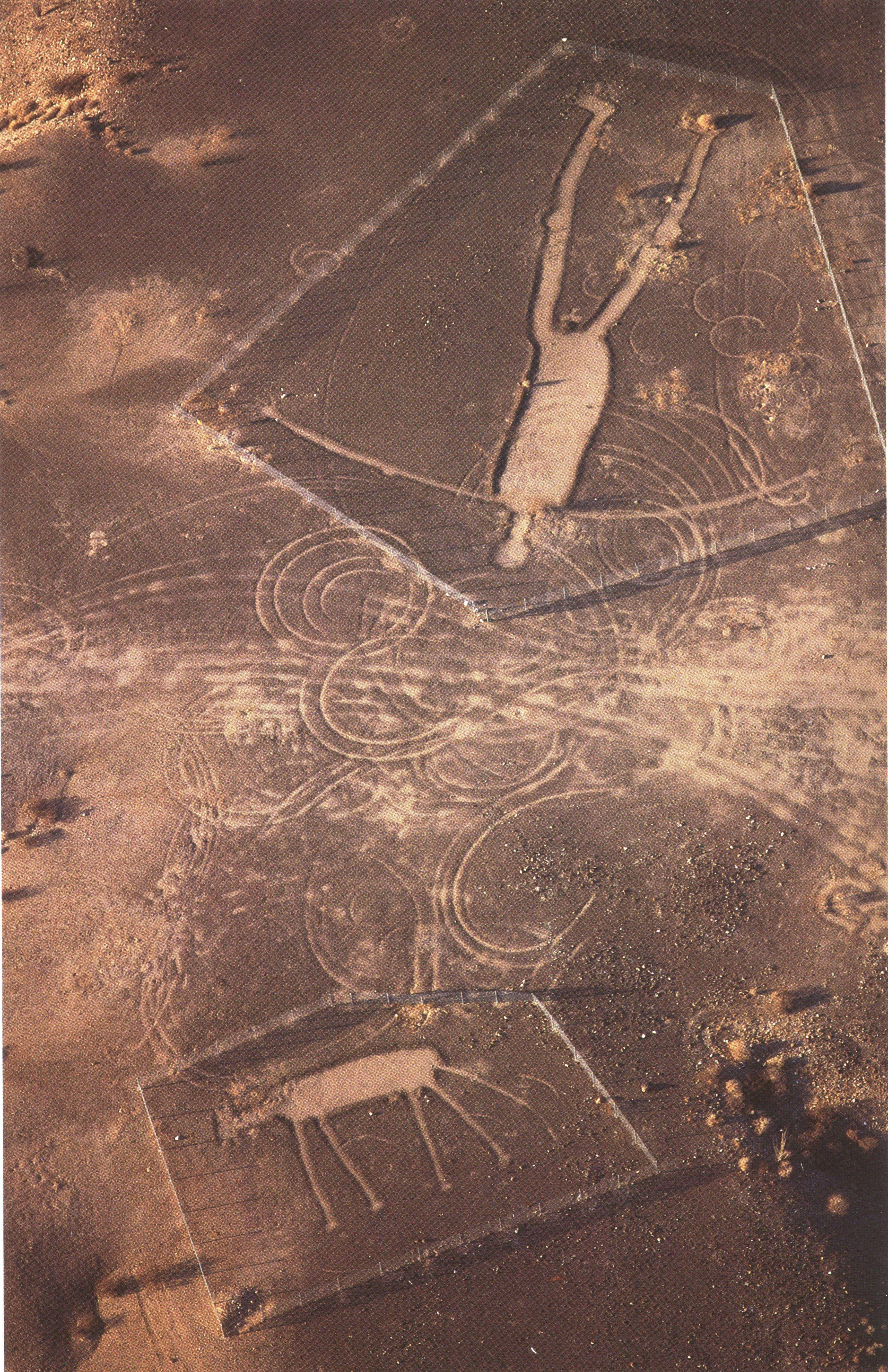 3654x5642 Nazca / 3654x5642 Wallpaper. Ancient mysteries, Nazca lines, Ancient artifacts