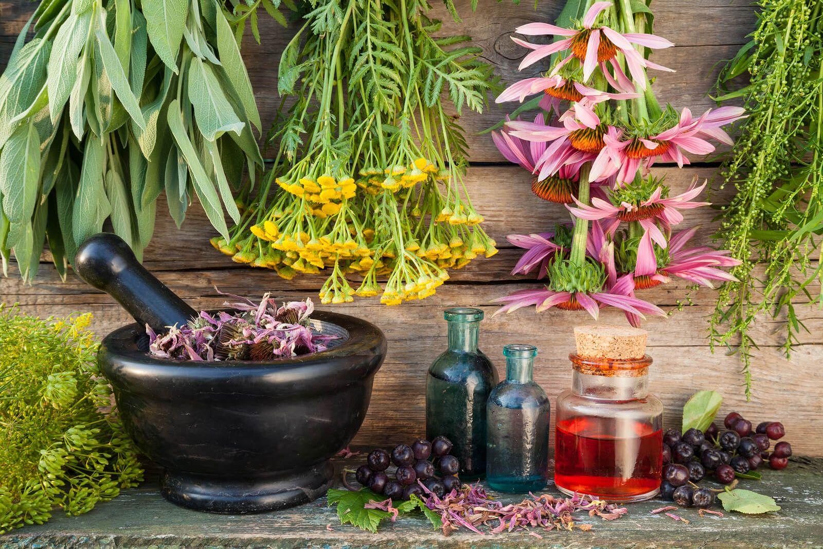 1600x1067 Ayurvedic Medicine Manufacturers In .
