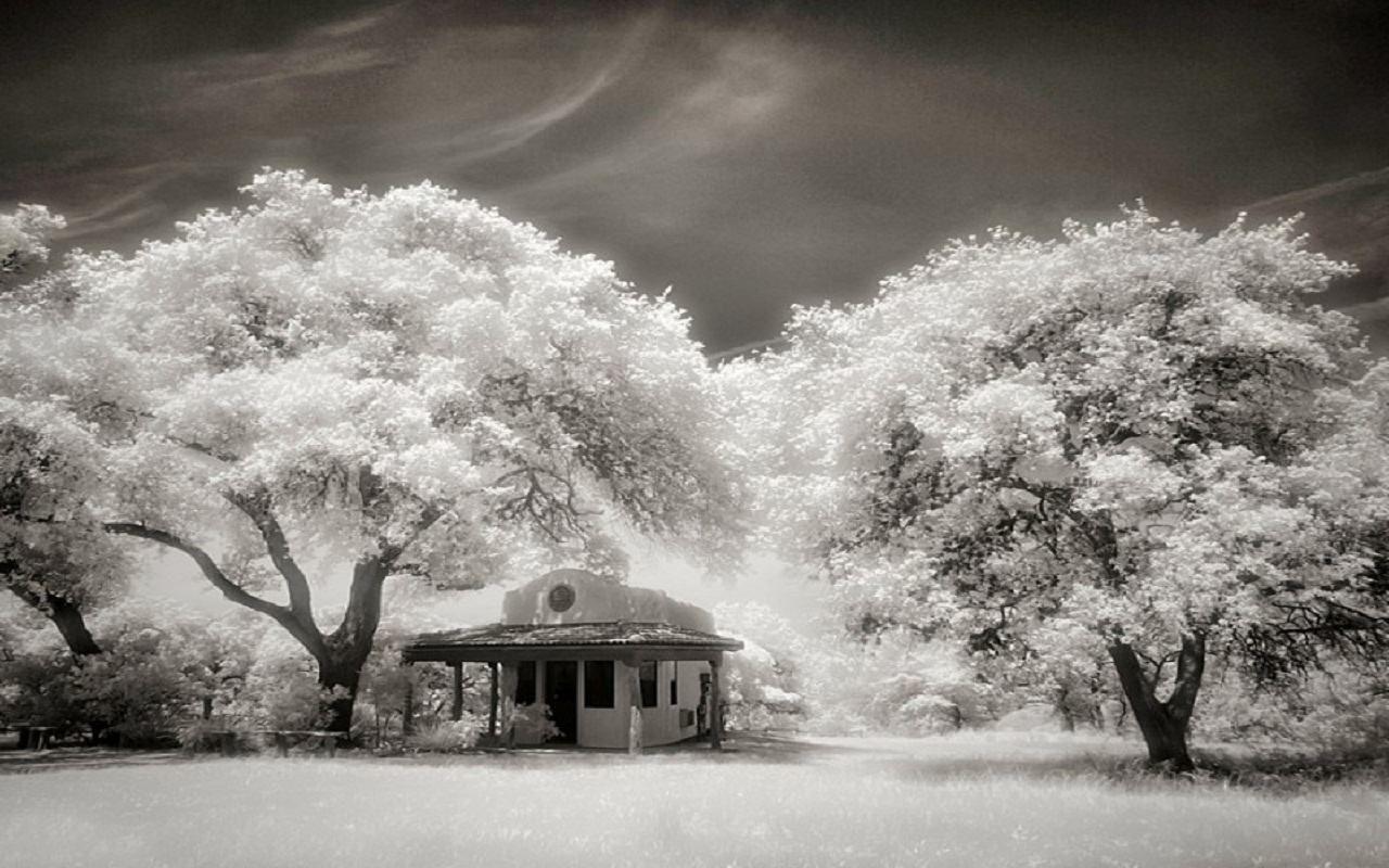Infrared Landscape Wallpapers - Top Free Infrared Landscape Backgrounds
