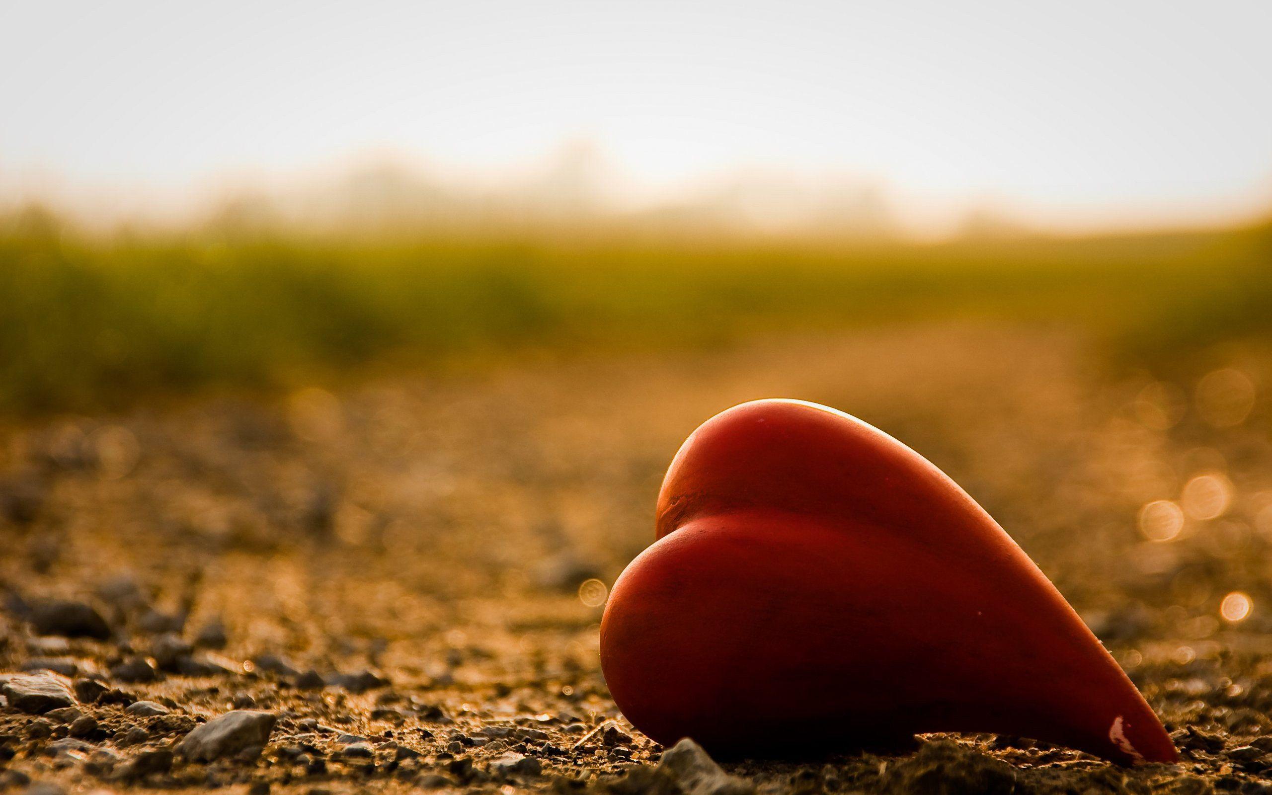 Heart touching background HD wallpapers  Pxfuel