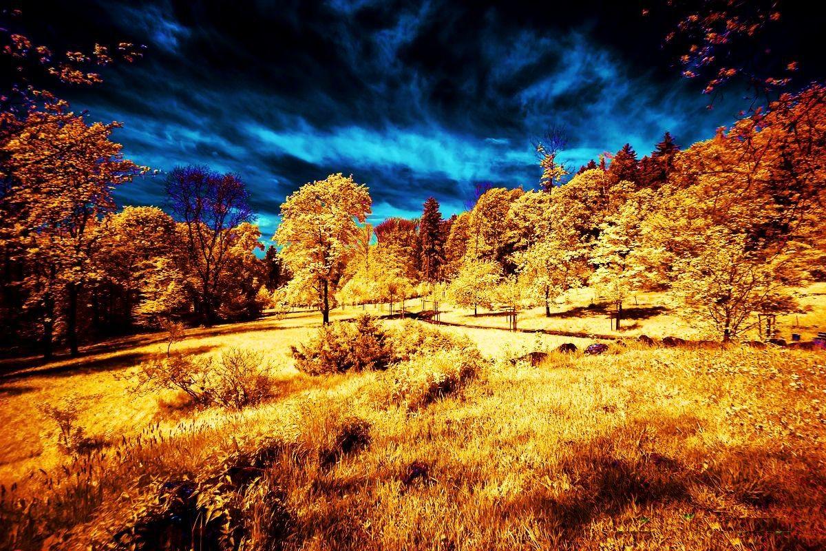 Infrared Landscape Wallpapers - Top Free Infrared Landscape Backgrounds