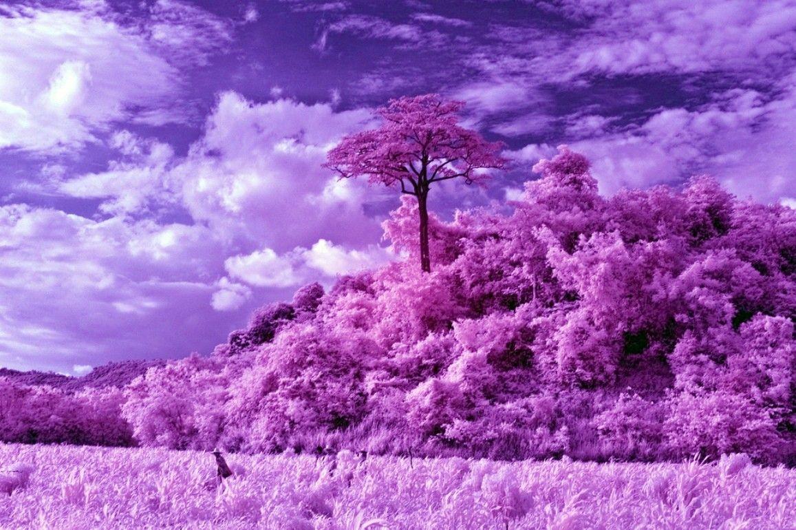 Infrared Landscape Wallpapers - Top Free Infrared Landscape Backgrounds