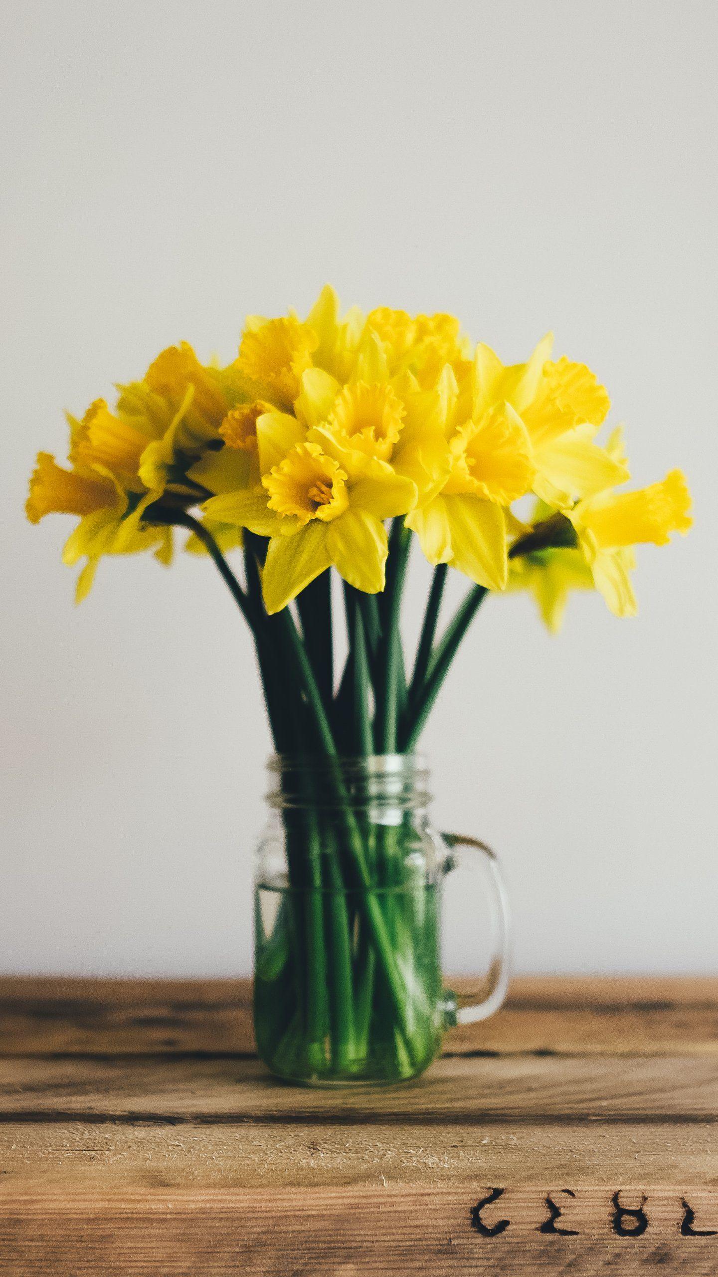 1440x2560 Daffodils Wallpaper, Android & Desktop Background. Flower arrangements diy, Daffodils, Flower wallpaper