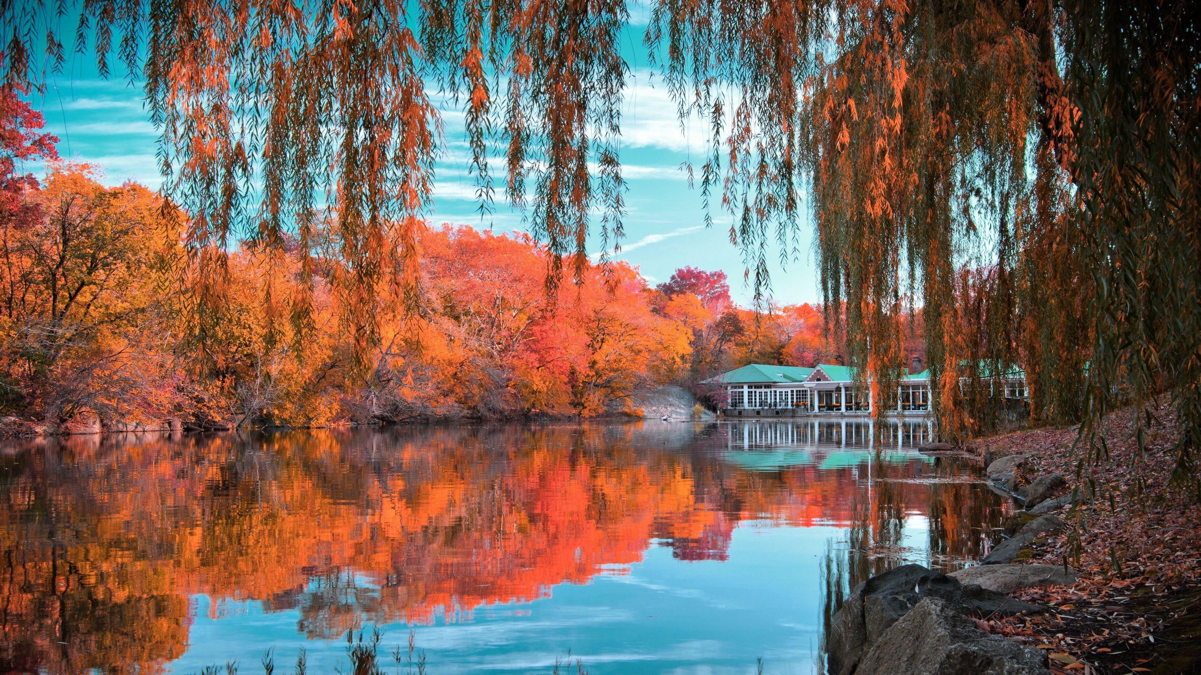 3840x2160 Autumn Central Park New York Wallpaper FREE Picture