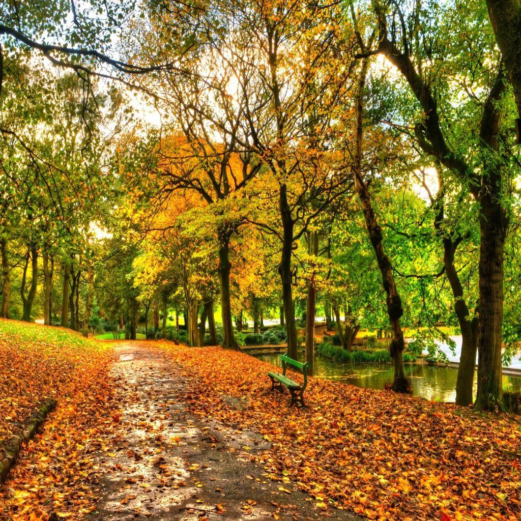 1024x1024 Free download Autumn In New York Central Park Mobile Wallpaper for iPad [1024x1024] for your Desktop, Mobile & Tablet. Explore Autumn in NYC Wallpaper. HD Spring Wallpaper For Desktop